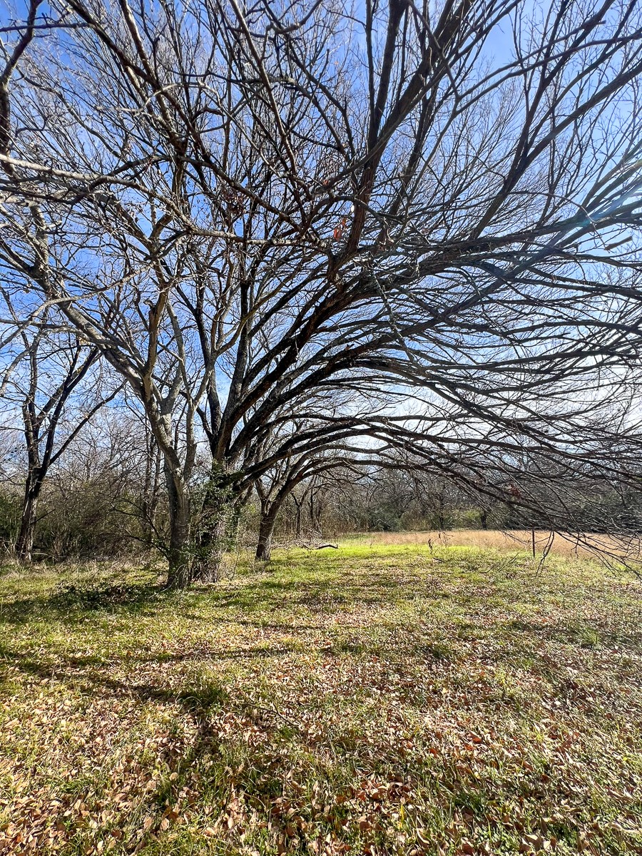 203 SW 4TH , Hubbard, TX, 76648 | 20493624 | Realty Texas LLC