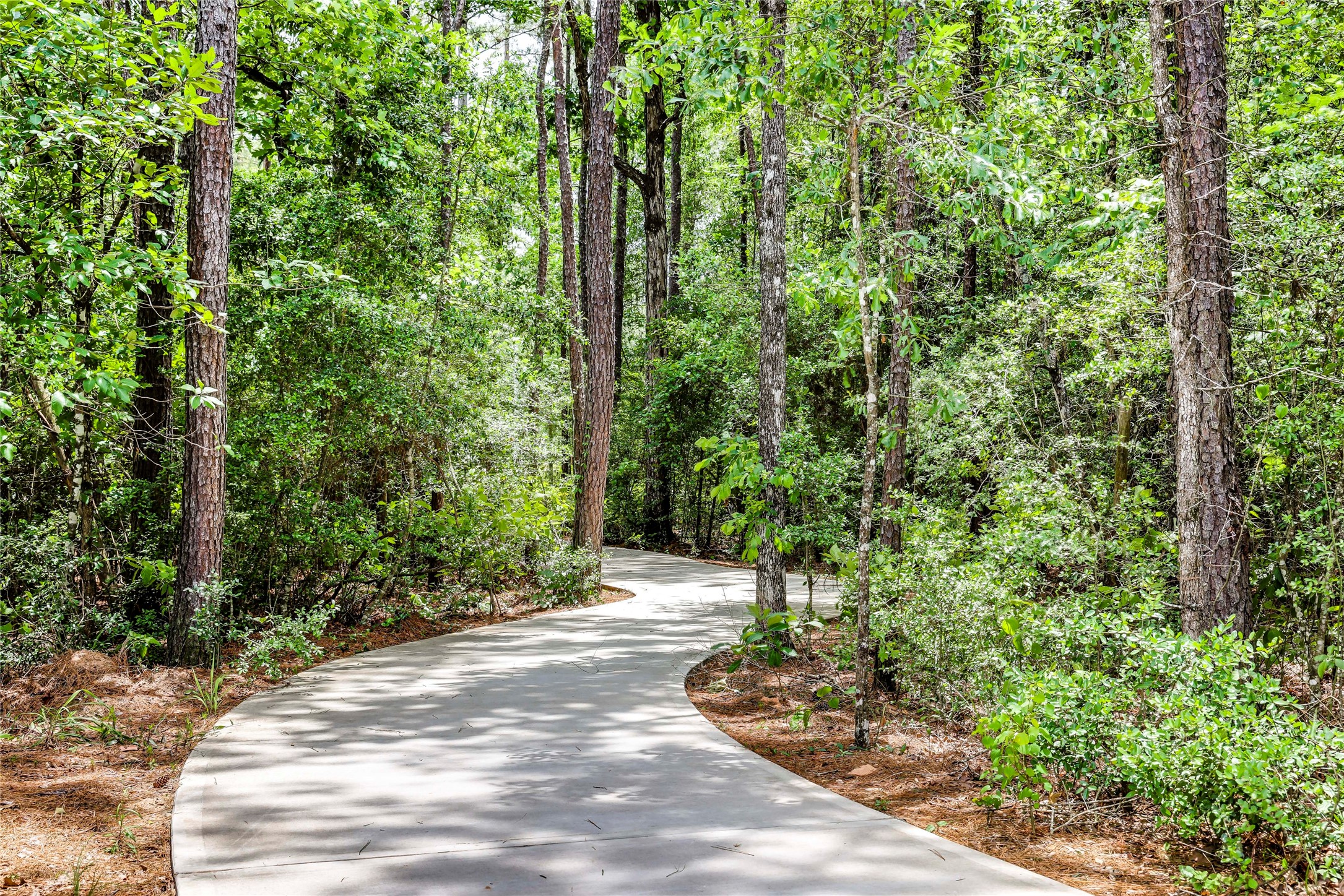 1507 Las Cuevas Drive , Conroe, TX, 77301 | 29369524 | Realty Texas LLC