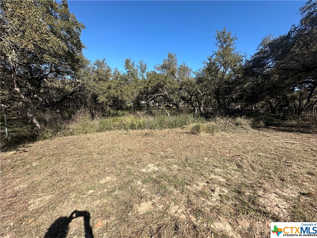 168 Timbercreek Drive , Poteet, TX, 78065 | 531381 | Realty Texas LLC