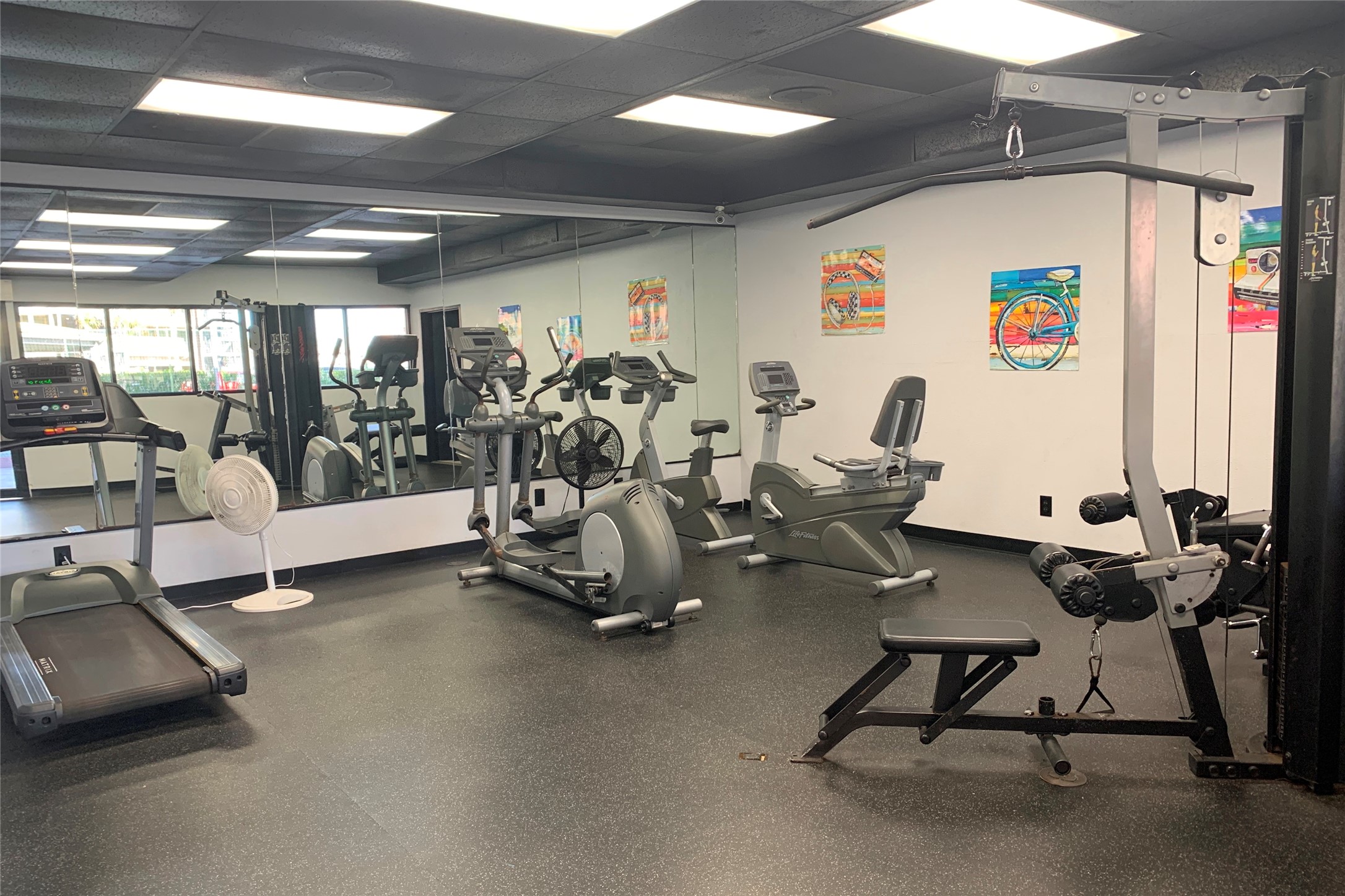 6300 Seawall Boulevard 3116 , Galveston, TX, 77551 | 45472100 | Realty Texas LLC