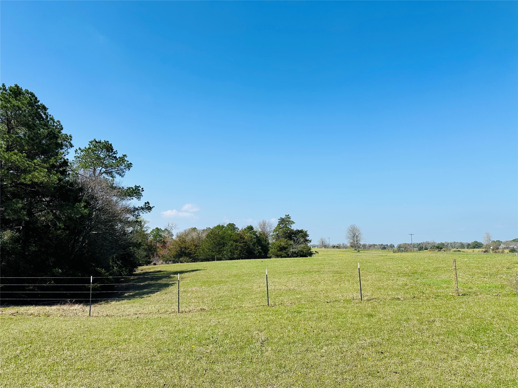 10AC County Rd 212, Buffalo, TX, 75831 | 13287149 | Realty Texas LLC