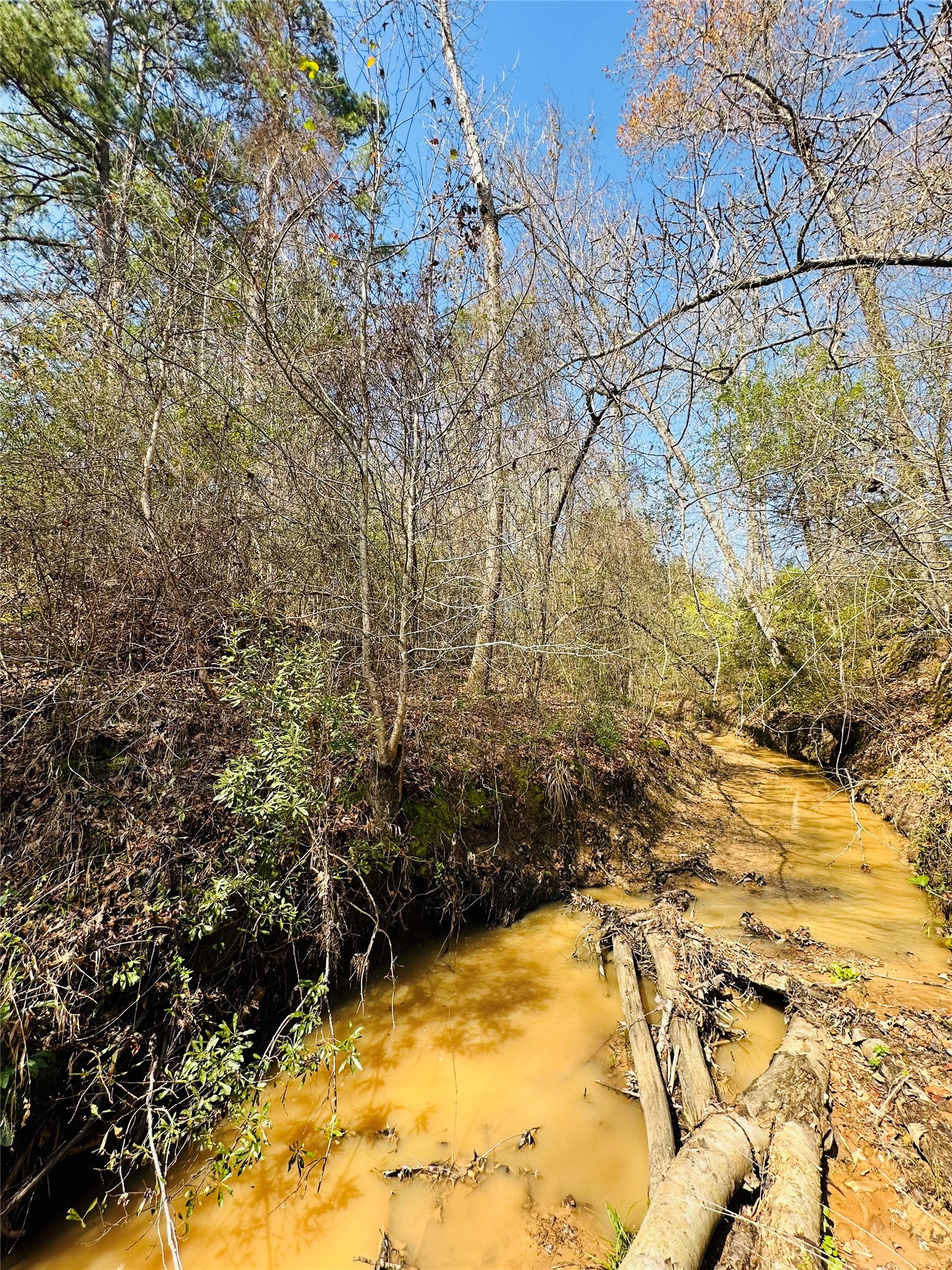 10AC County Rd 212, Buffalo, TX, 75831 | 13287149 | Realty Texas LLC