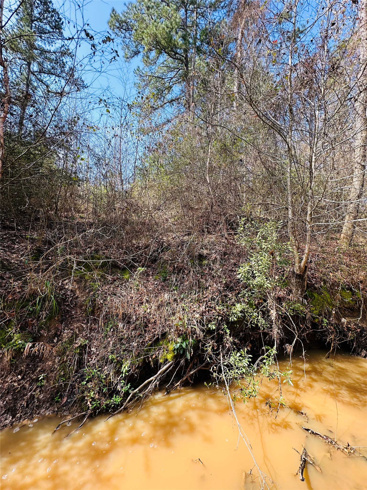 10AC County Rd 212, Buffalo, TX, 75831 | 13287149 | Realty Texas LLC