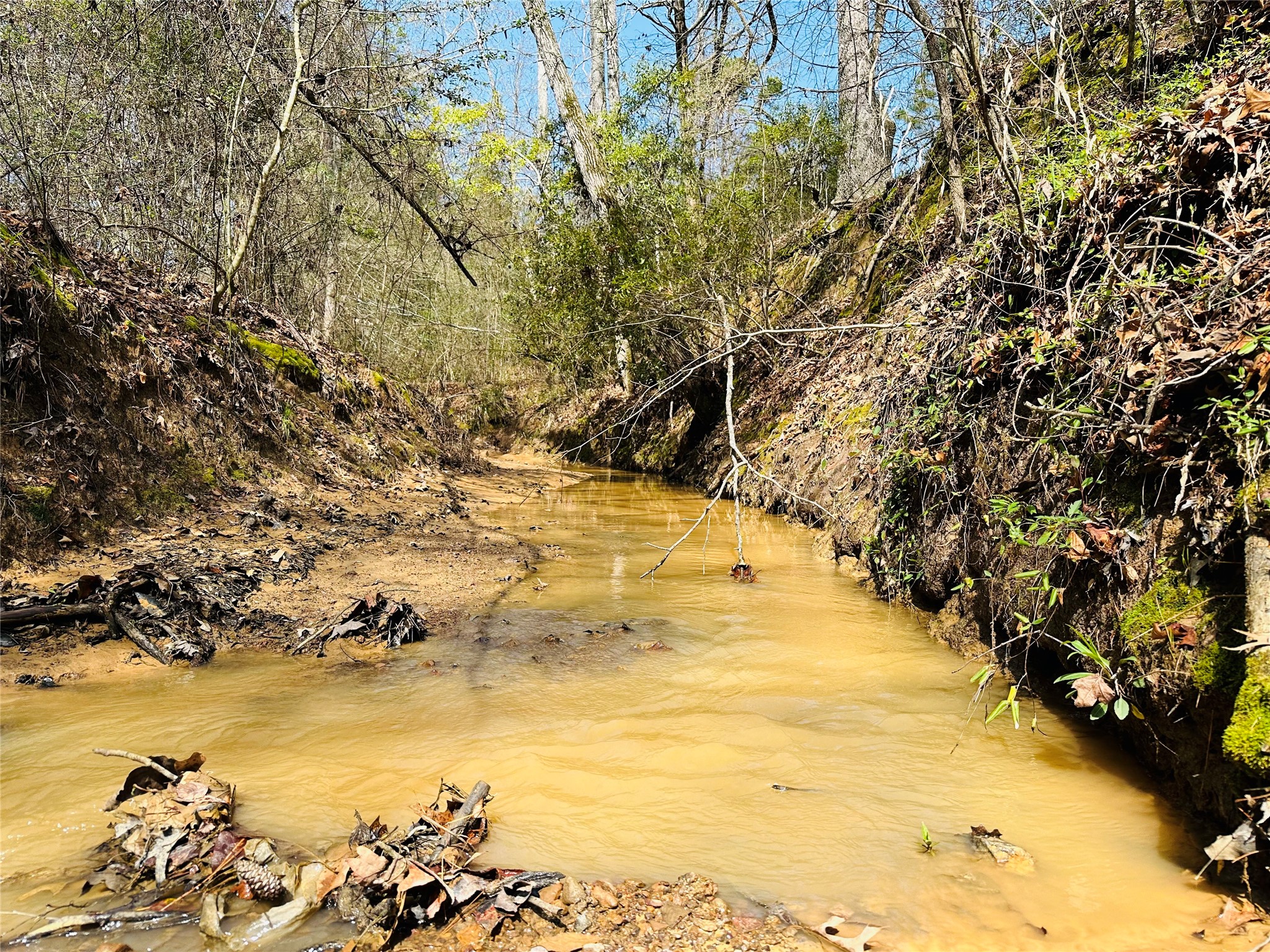 10AC County Rd 212, Buffalo, TX, 75831 | 13287149 | Realty Texas LLC