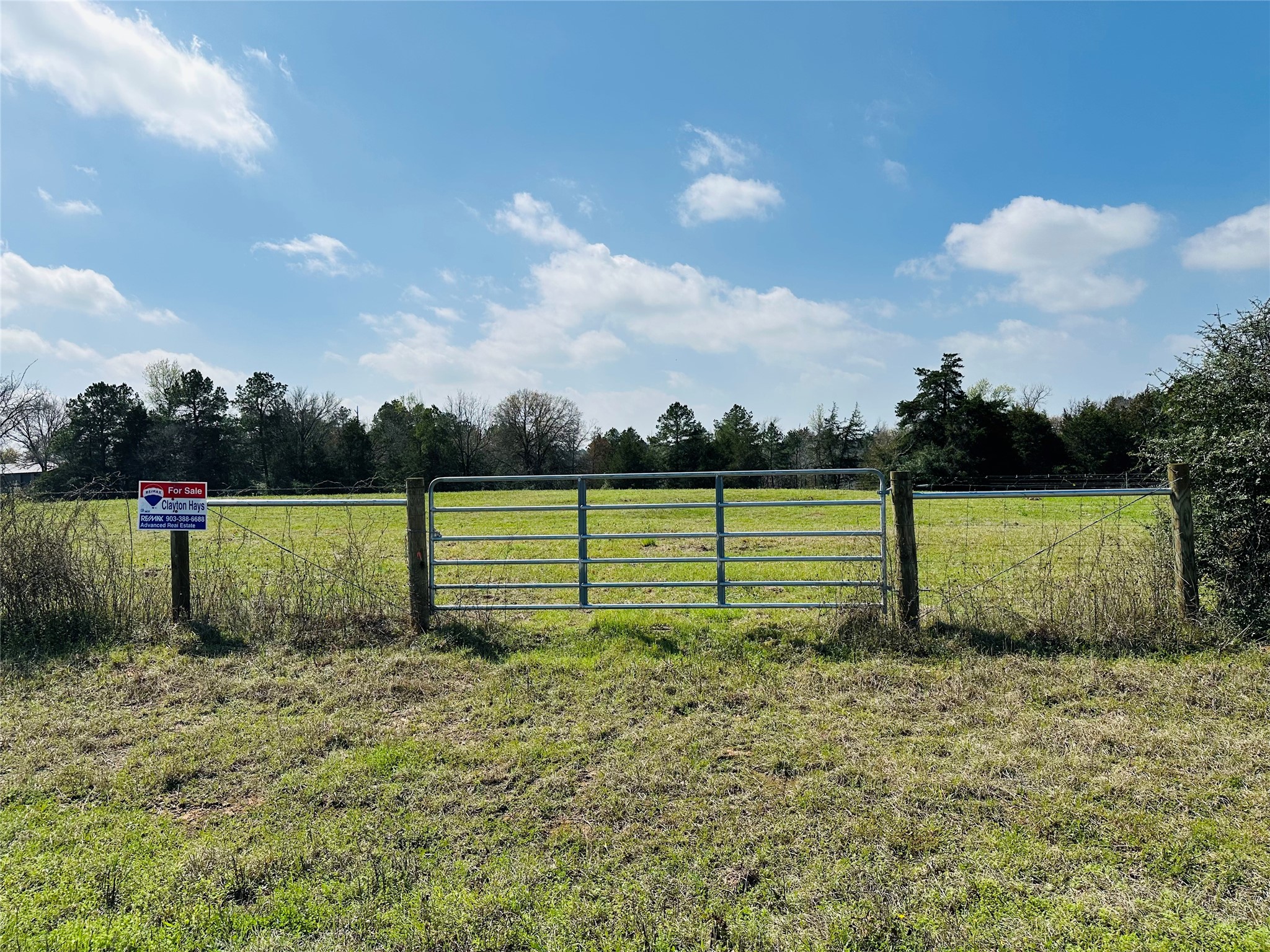 10AC County Rd 212, Buffalo, TX, 75831 | 13287149 | Realty Texas LLC