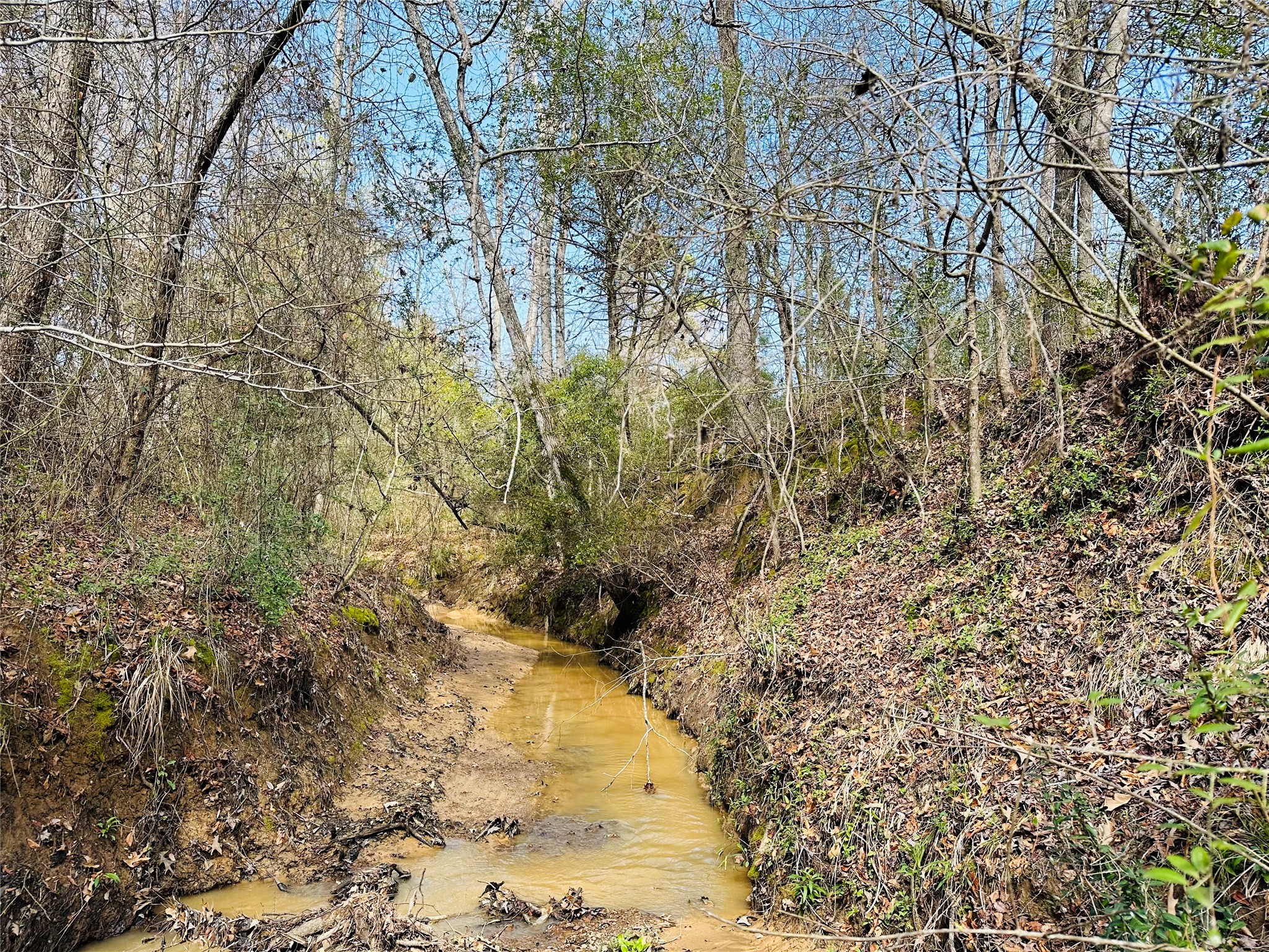 10AC County Rd 212, Buffalo, TX, 75831 | 13287149 | Realty Texas LLC