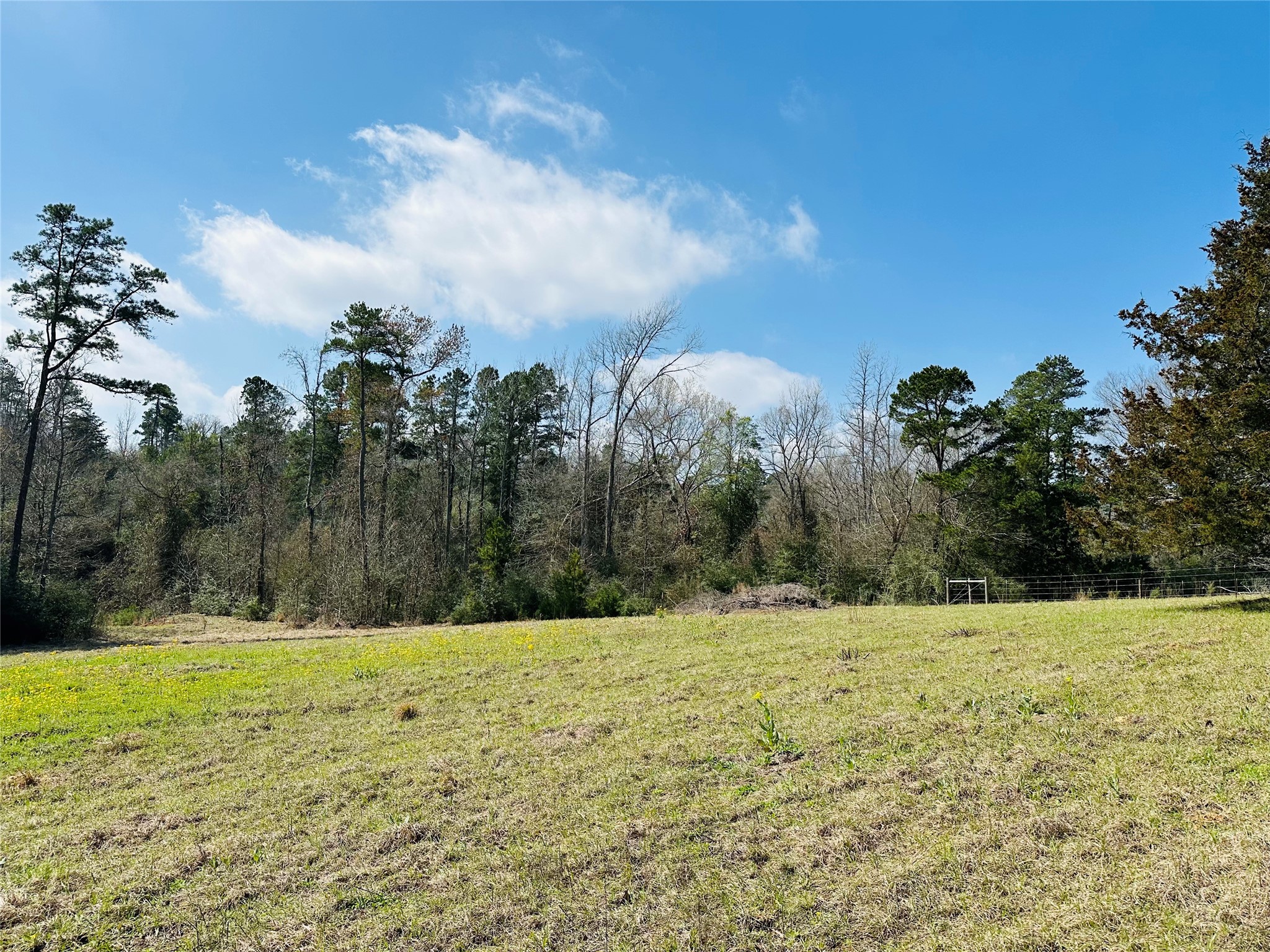 10AC County Rd 212, Buffalo, TX, 75831 | 13287149 | Realty Texas LLC
