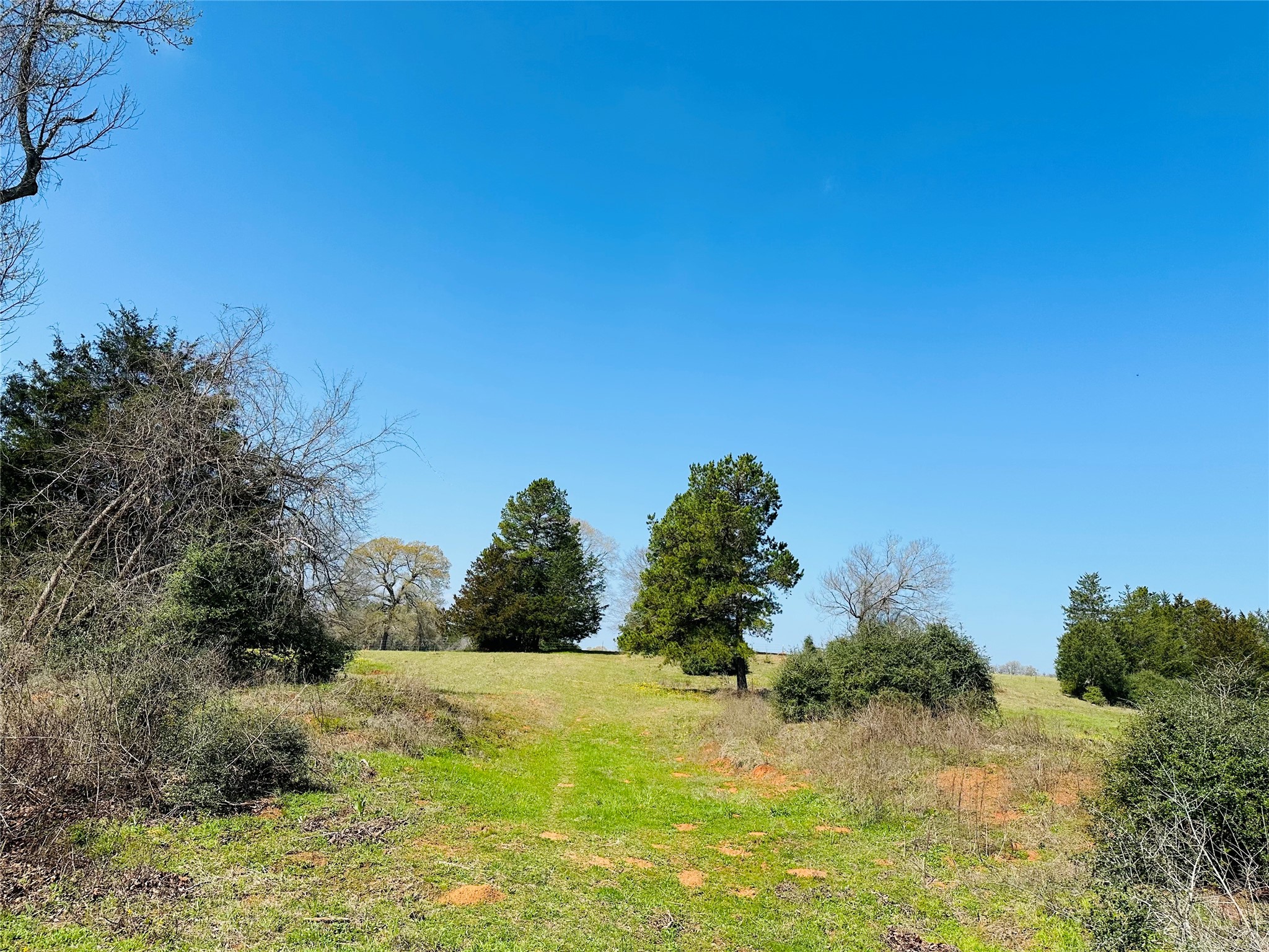 10AC County Rd 212, Buffalo, TX, 75831 | 13287149 | Realty Texas LLC