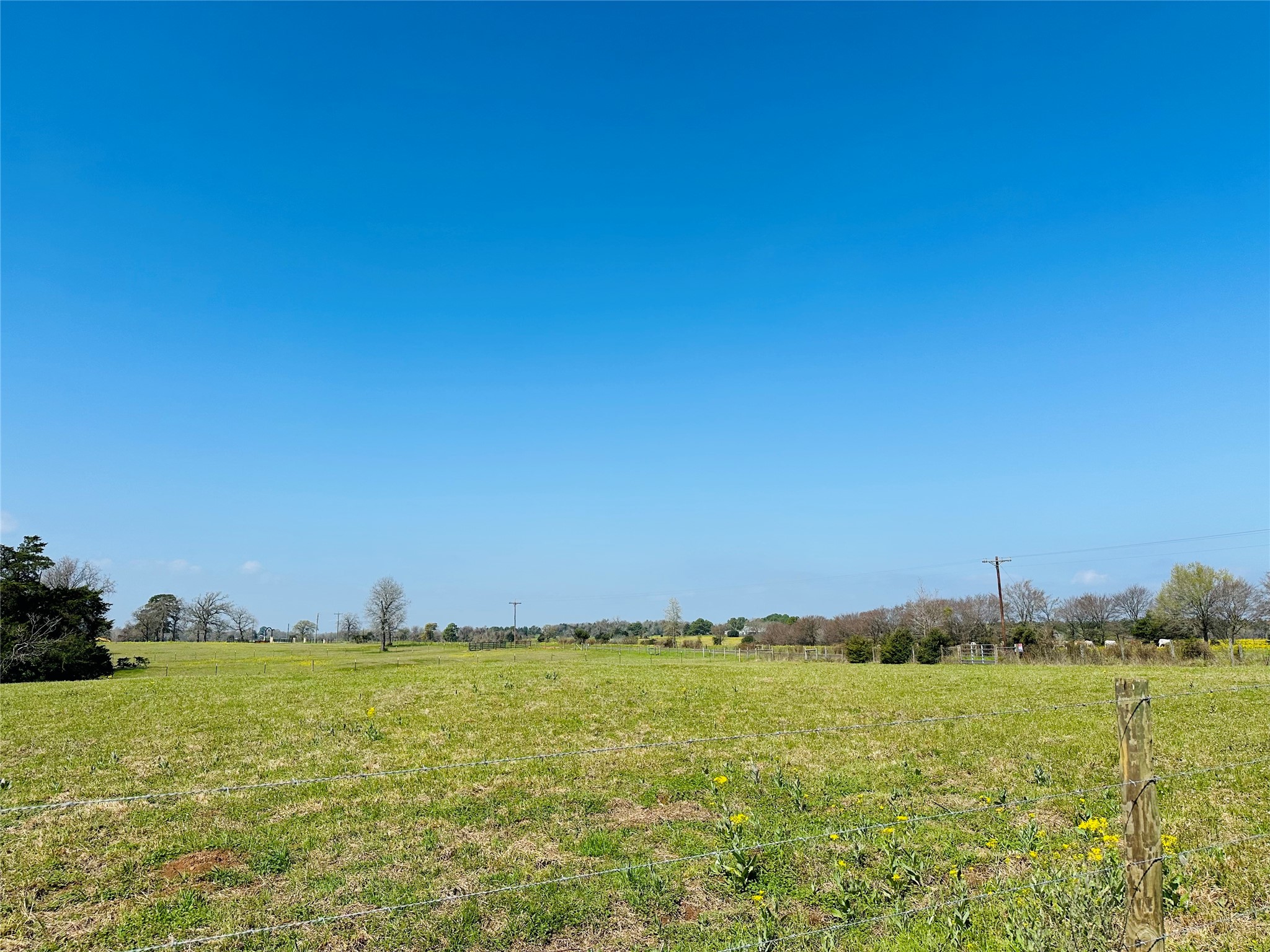 10AC County Rd 212, Buffalo, TX, 75831 | 13287149 | Realty Texas LLC
