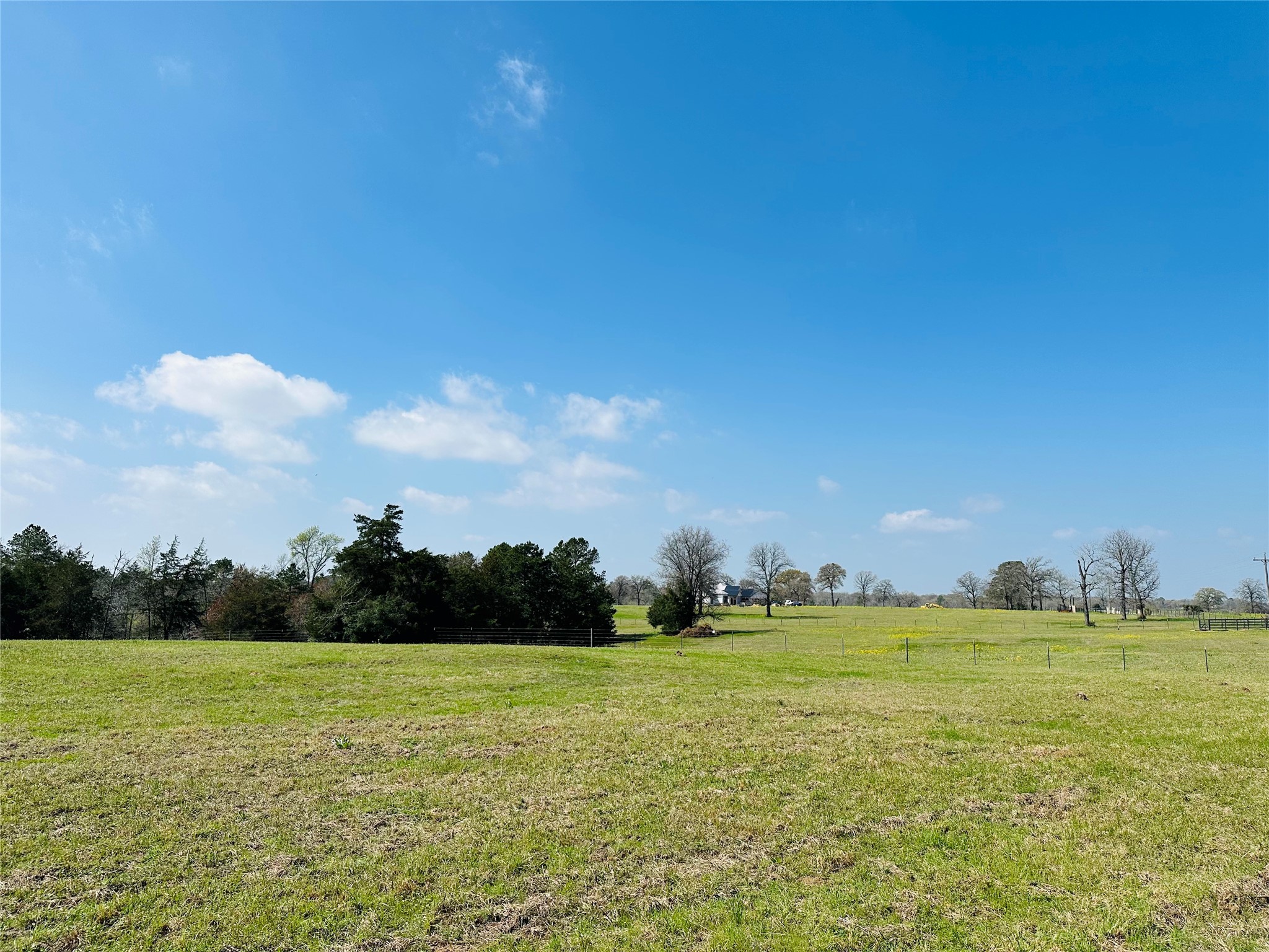 10AC County Rd 212, Buffalo, TX, 75831 | 13287149 | Realty Texas LLC