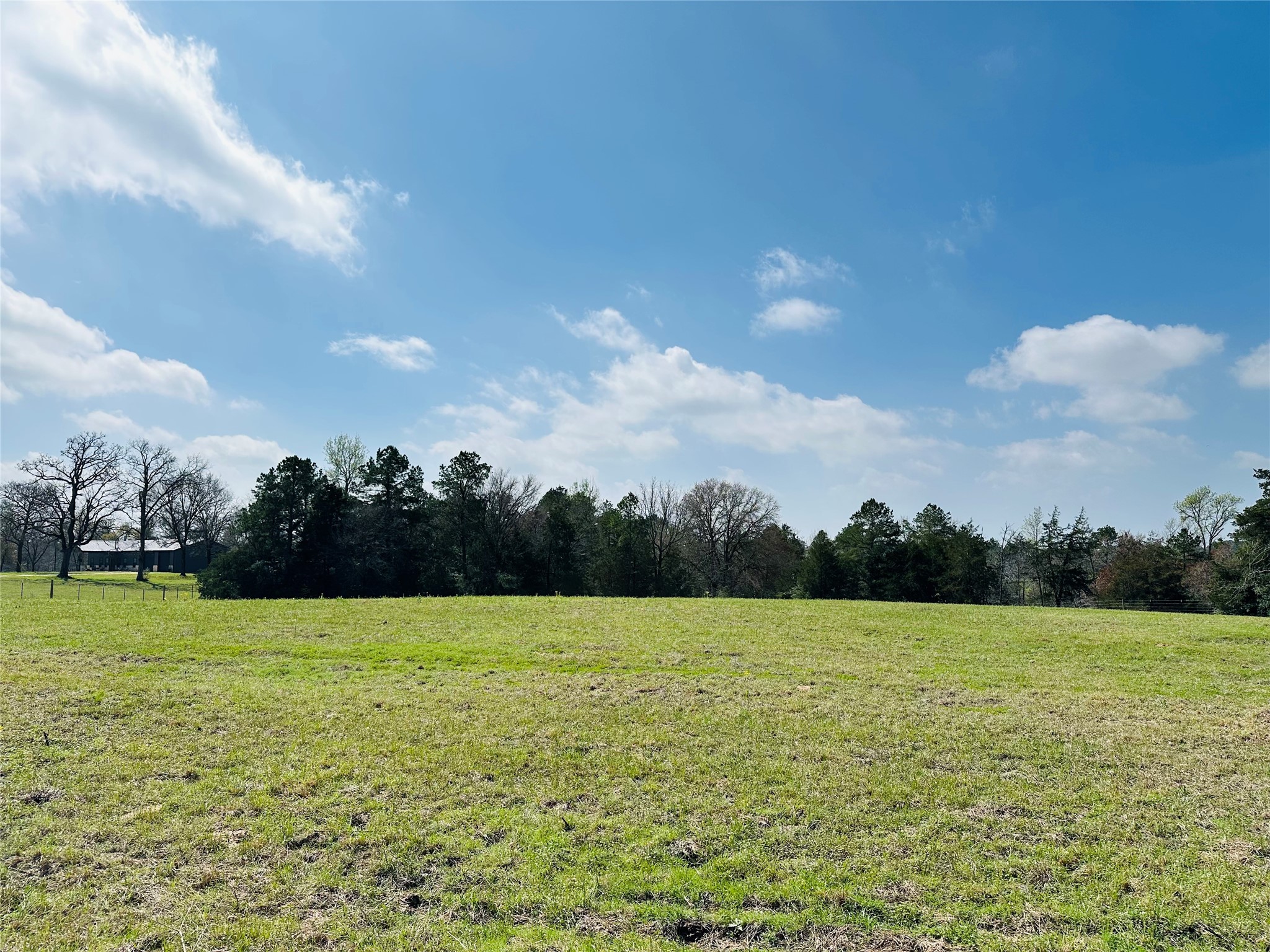 10AC County Rd 212, Buffalo, TX, 75831 | 13287149 | Realty Texas LLC