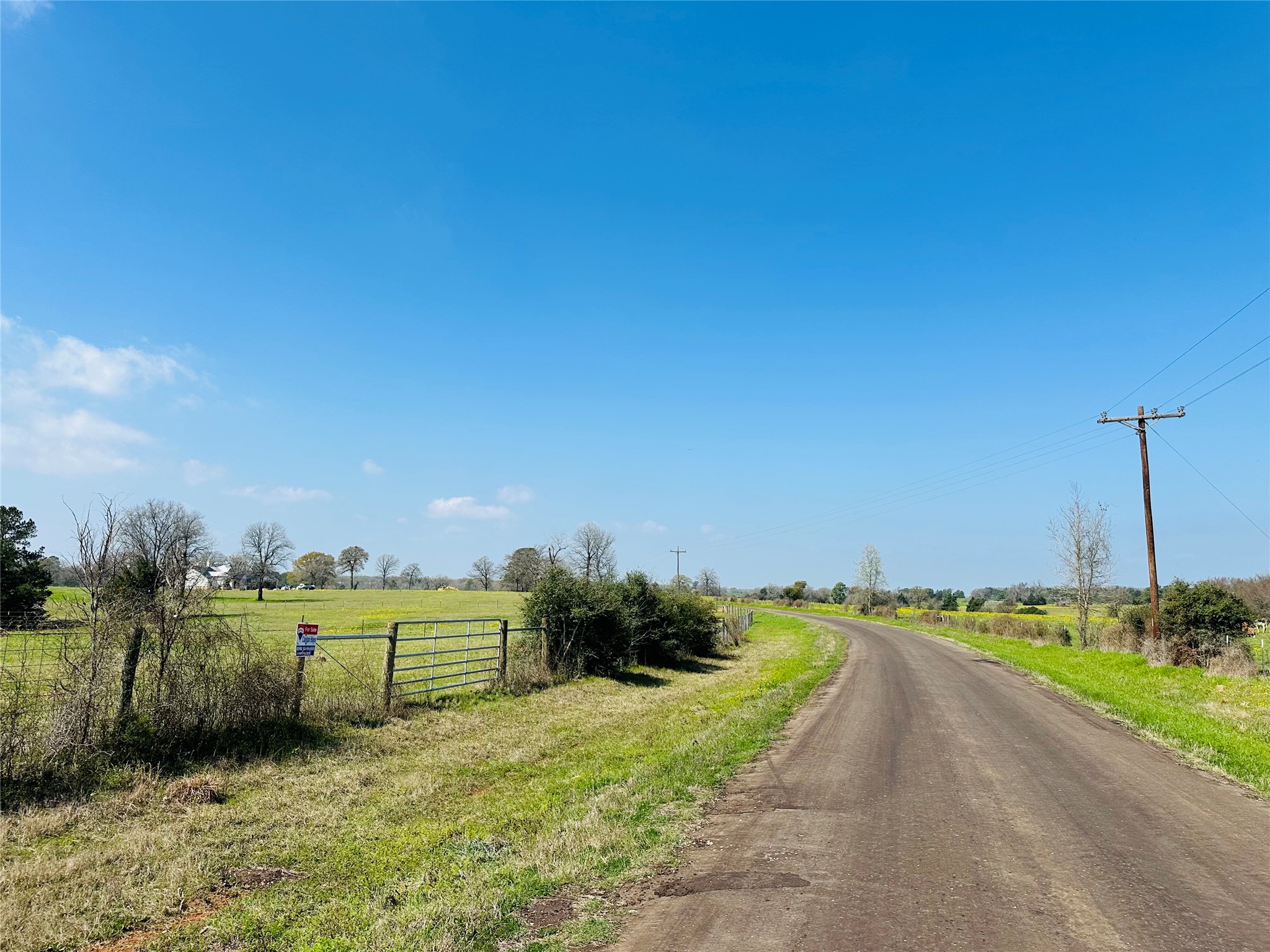 10AC County Rd 212, Buffalo, TX, 75831 | 13287149 | Realty Texas LLC