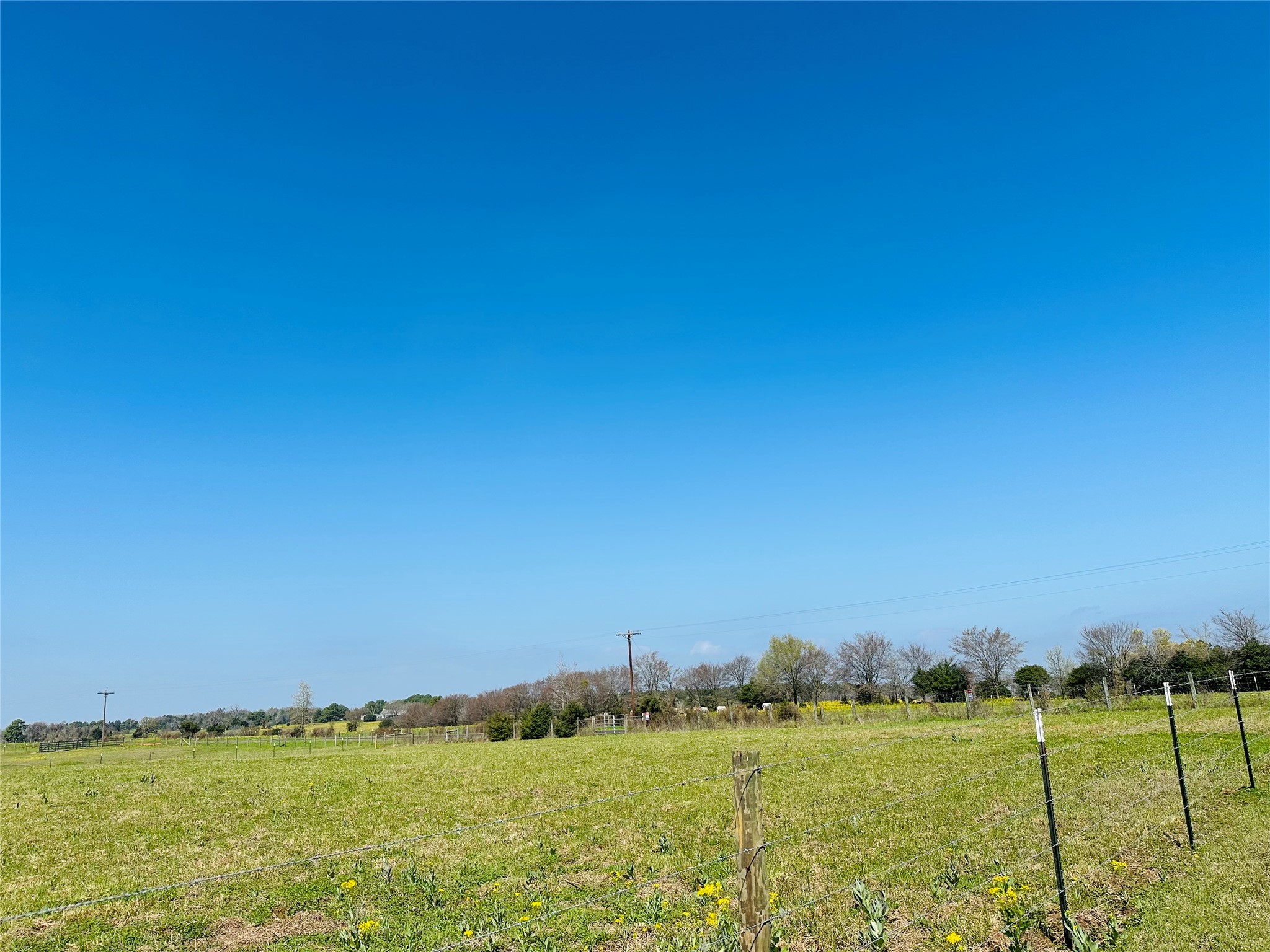 10AC County Rd 212, Buffalo, TX, 75831 | 13287149 | Realty Texas LLC