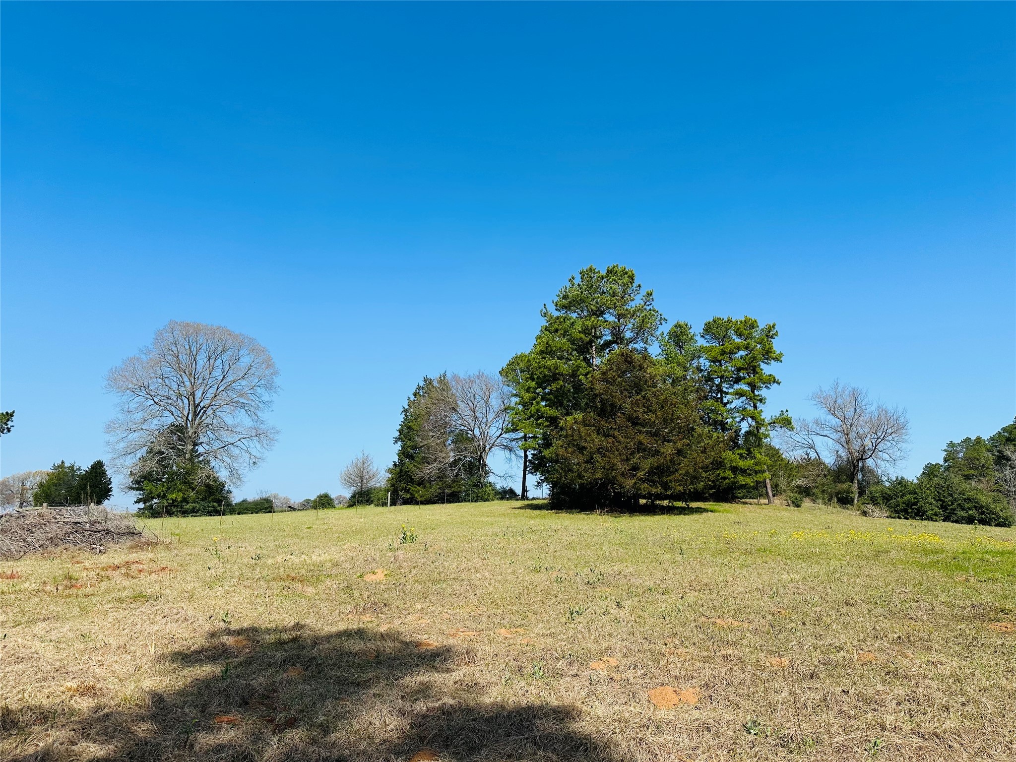 10AC County Rd 212, Buffalo, TX, 75831 | 13287149 | Realty Texas LLC
