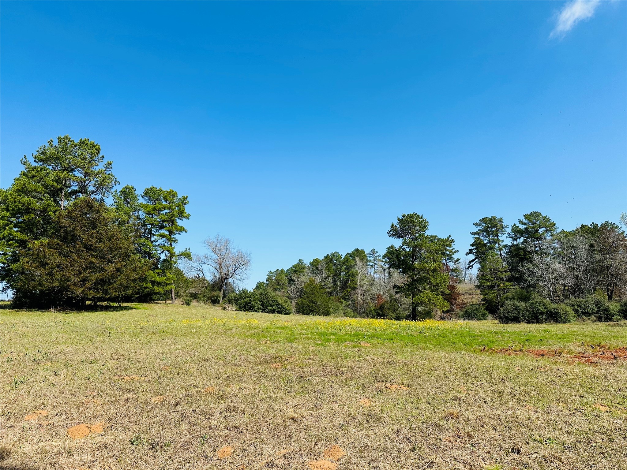 10AC County Rd 212, Buffalo, TX, 75831 | 13287149 | Realty Texas LLC