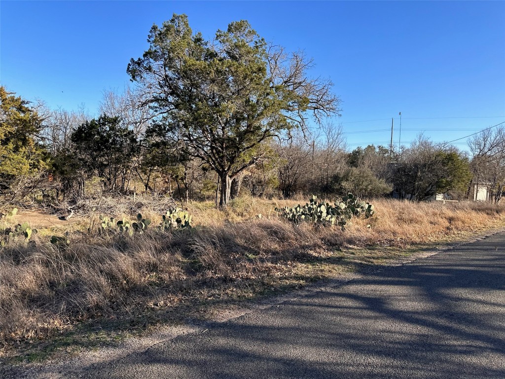 Lot212 Pecan Lane, Cottonwood Shores, TX, 78657 | 1114222 | Realty Texas LLC