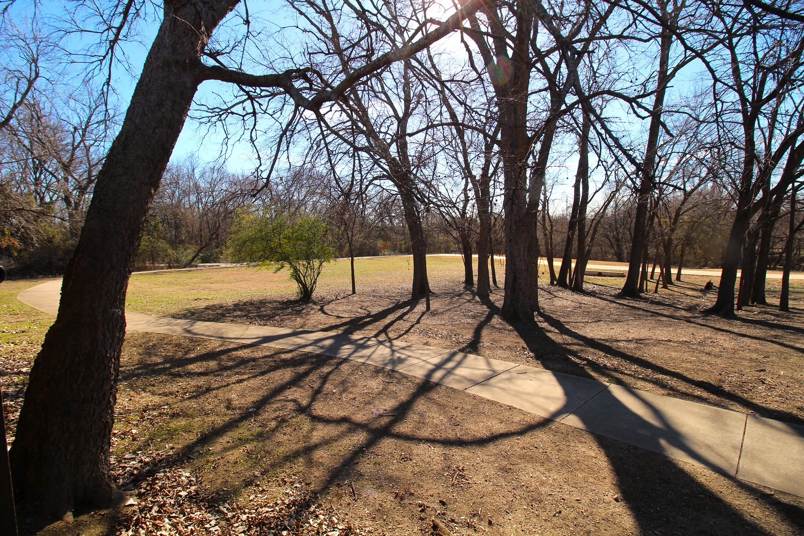 2305 Magnolia Drive , Little Elm, TX, 75068 | 20521593 | Realty Texas LLC