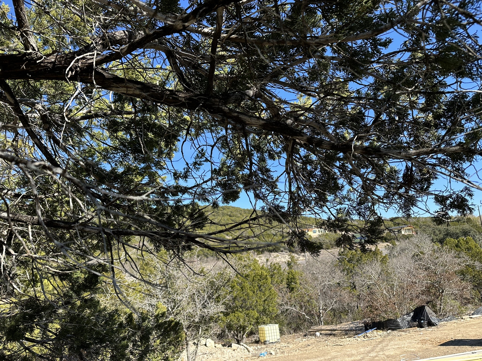 18502 Roundrock RD, Jonestown, TX, 78641 | 1674337 | Realty Texas LLC