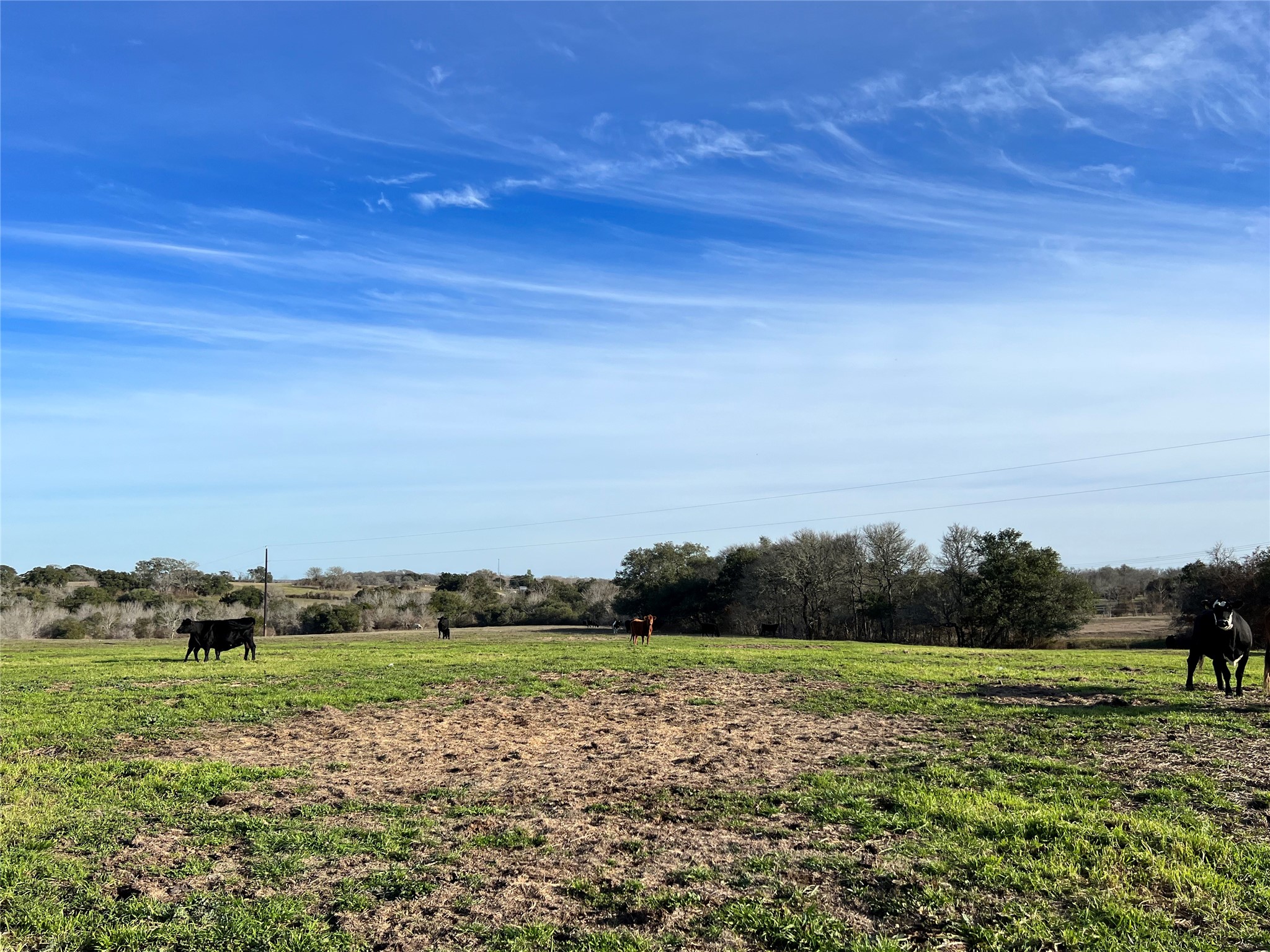 TBD Oil Field Road, Brenham, TX, 77833 | 24775119 | Realty Texas LLC
