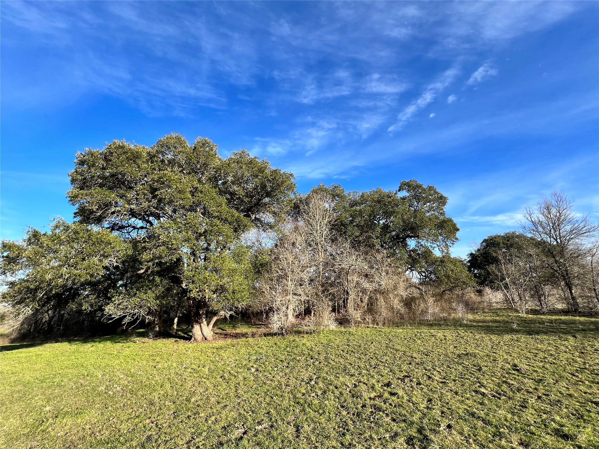 TBD Oil Field Road, Brenham, TX, 77833 | 24775119 | Realty Texas LLC