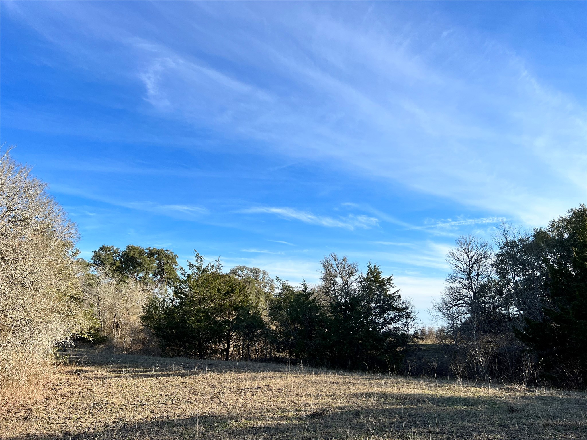 TBD Oil Field Road, Brenham, TX, 77833 | 24775119 | Realty Texas LLC