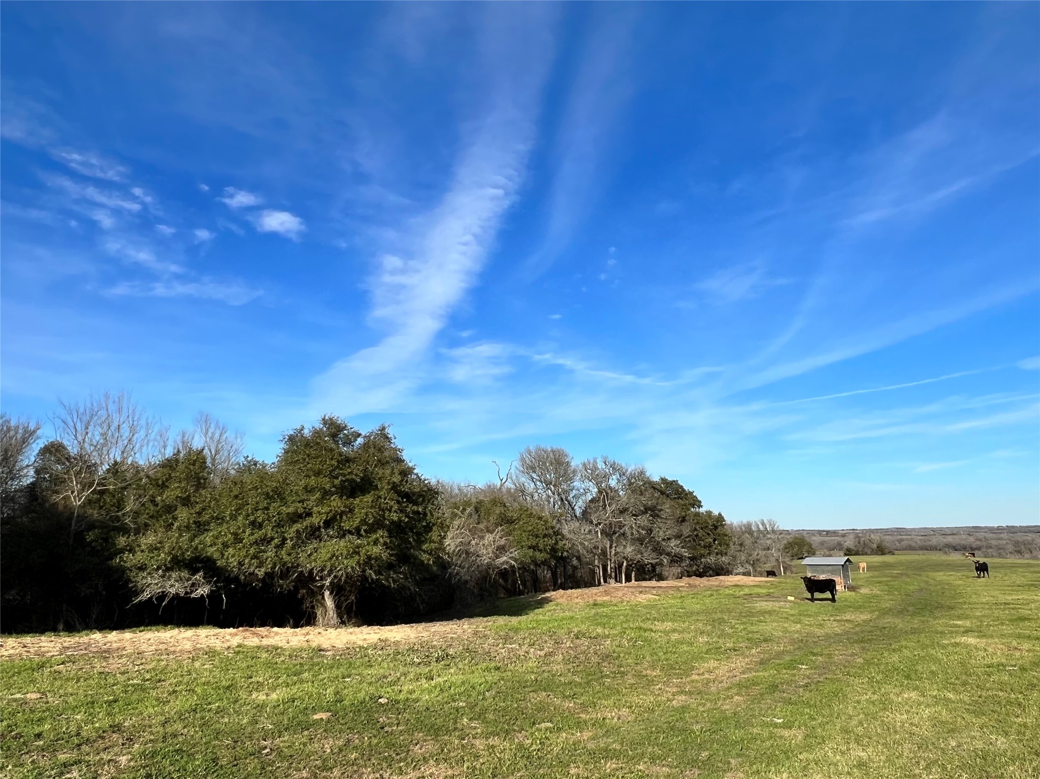 TBD Oil Field Road, Brenham, TX, 77833 | 24775119 | Realty Texas LLC