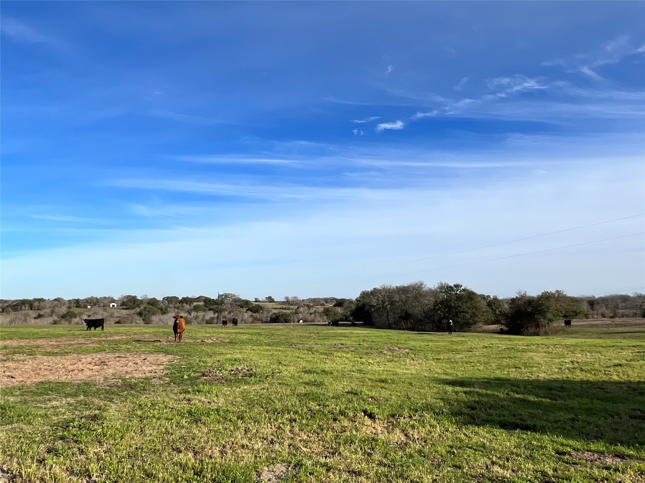 TBD Oil Field Road, Brenham, TX, 77833 | 24775119 | Realty Texas LLC