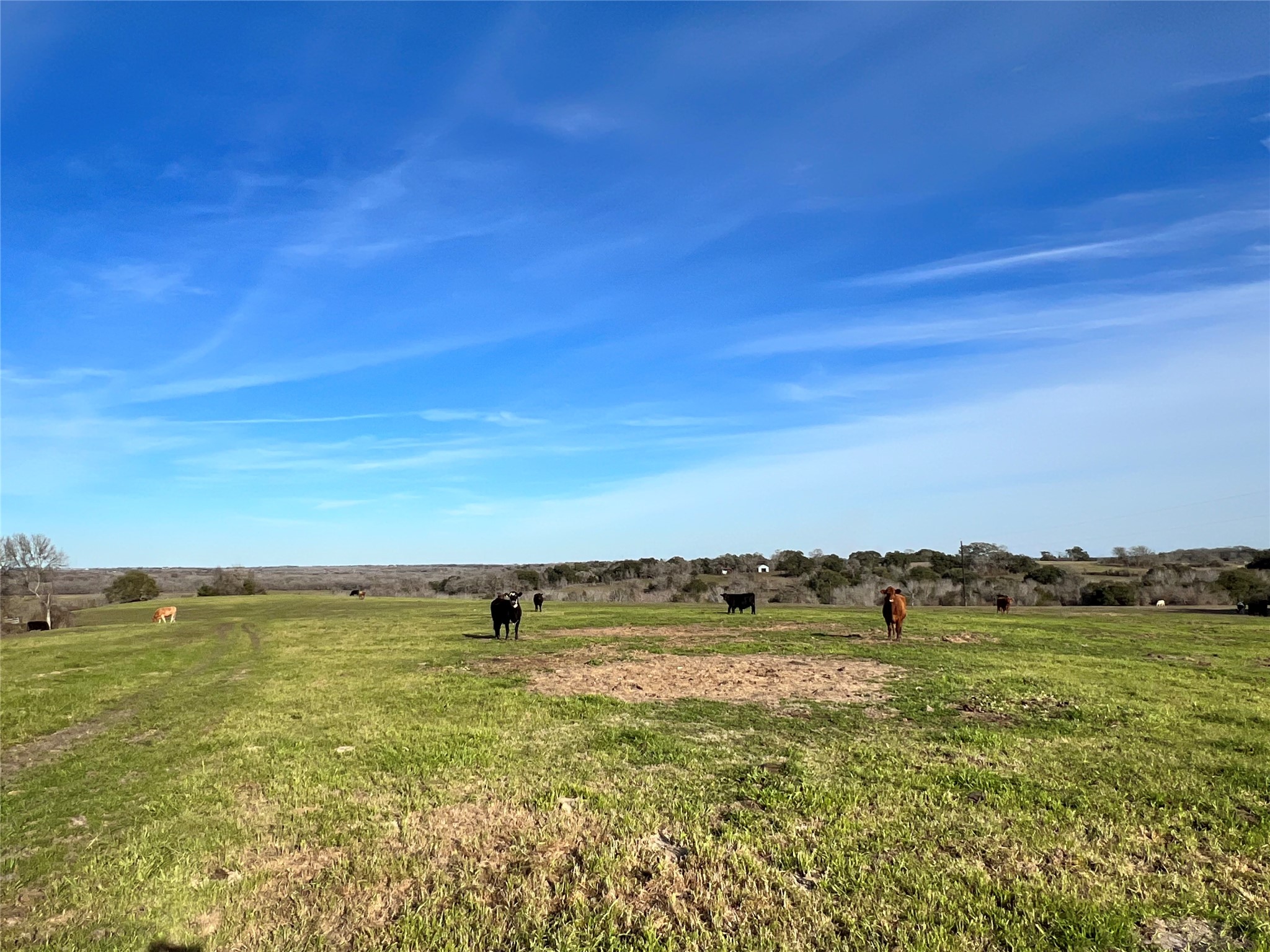 TBD Oil Field Road, Brenham, TX, 77833 | 24775119 | Realty Texas LLC