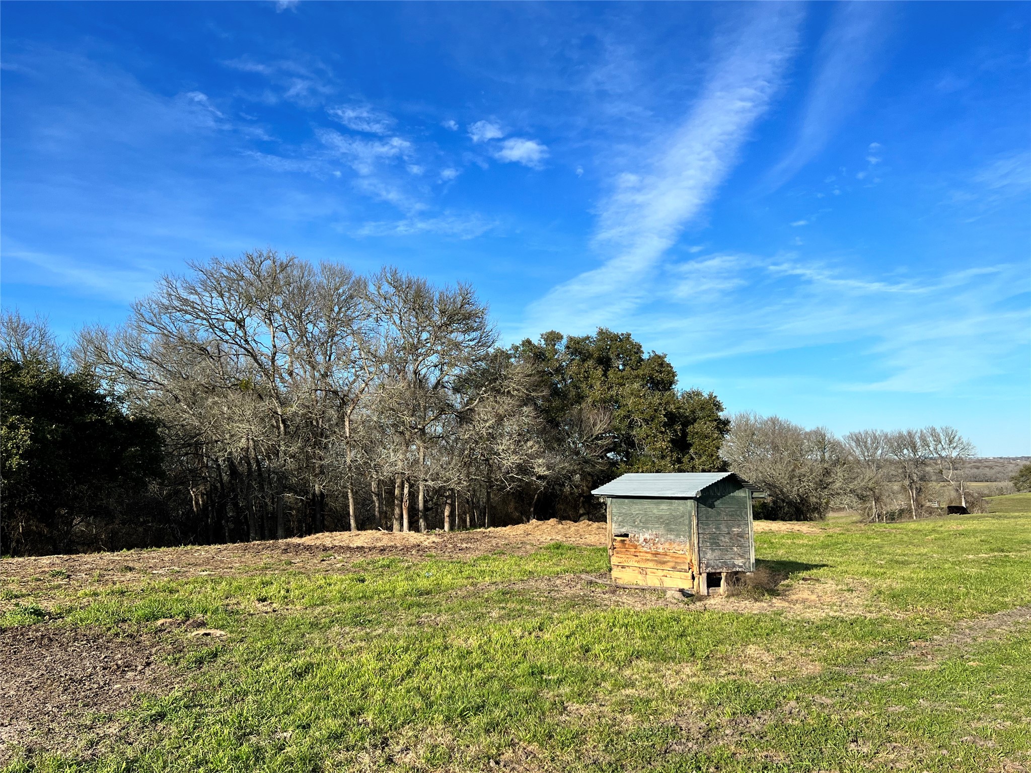 TBD Oil Field Road, Brenham, TX, 77833 | 24775119 | Realty Texas LLC