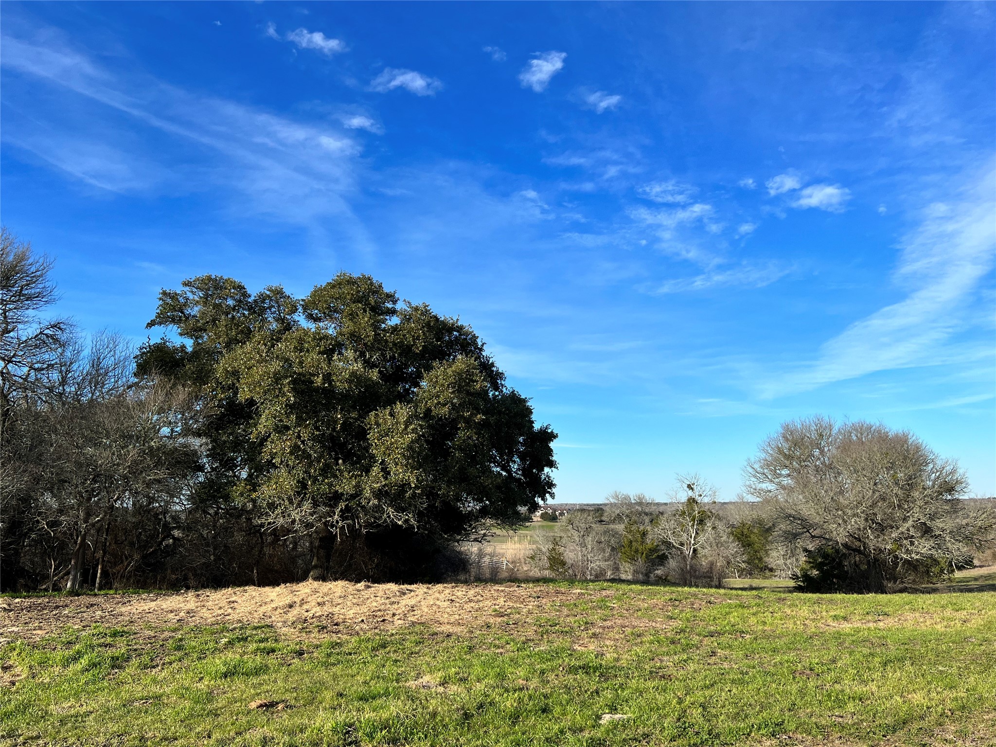TBD Oil Field Road, Brenham, TX, 77833 | 24775119 | Realty Texas LLC