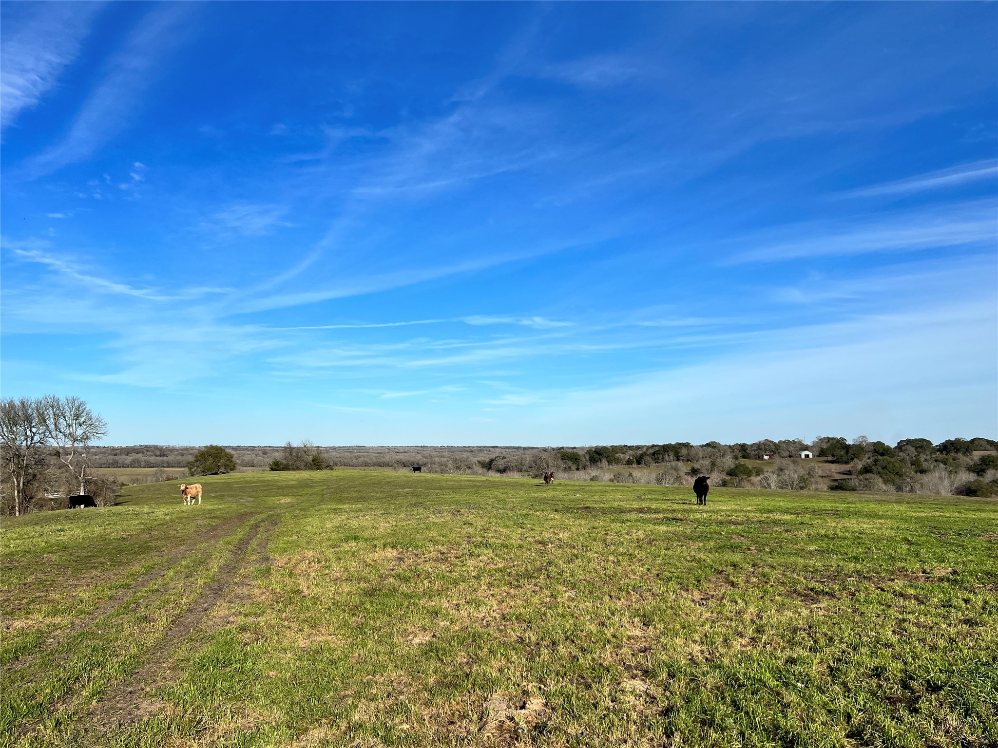 TBD Oil Field Road, Brenham, TX, 77833 | 24775119 | Realty Texas LLC
