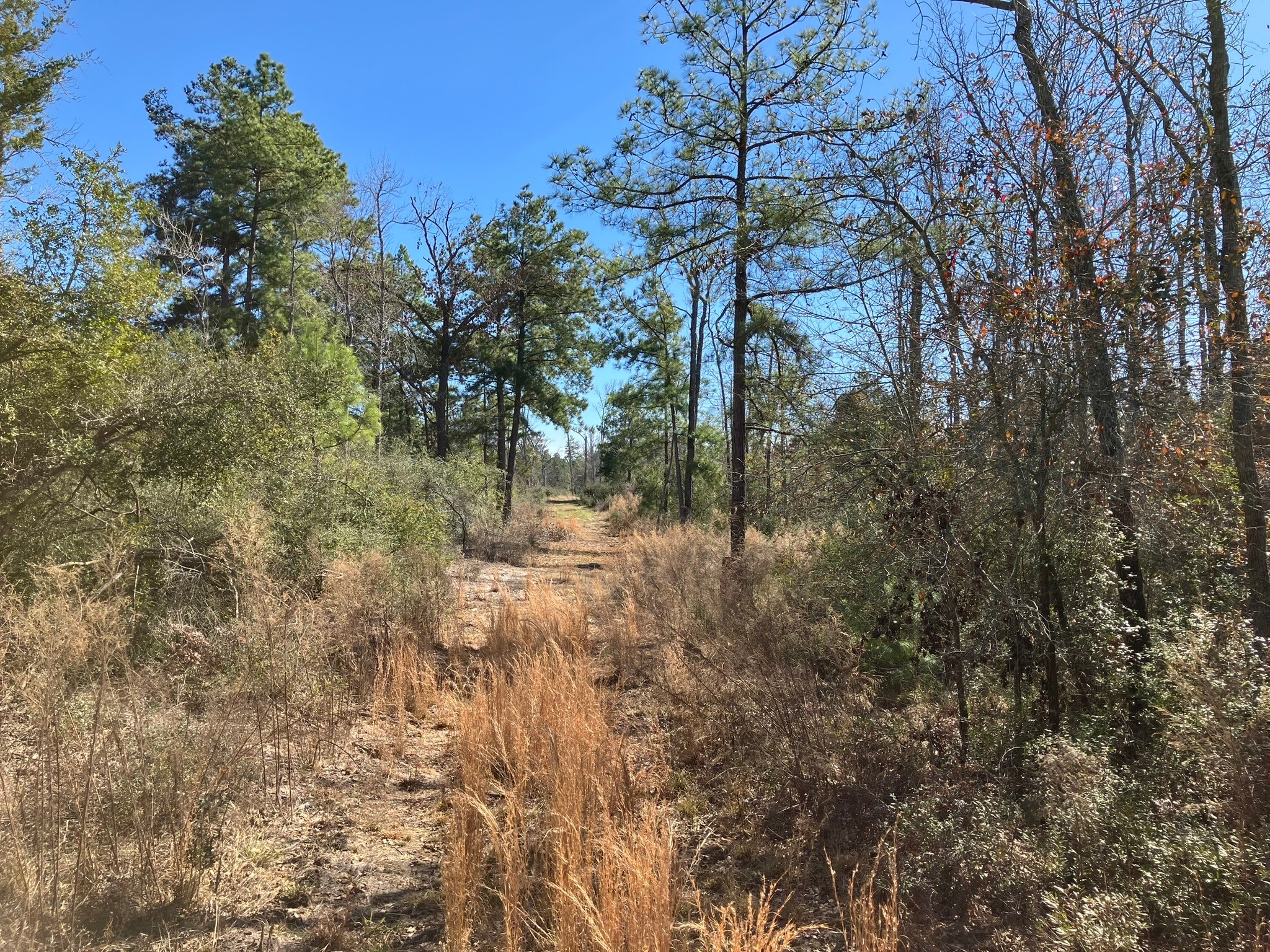 220 CR 2926 , Buffalo, TX, 75831 | 41658148 | Realty Texas LLC