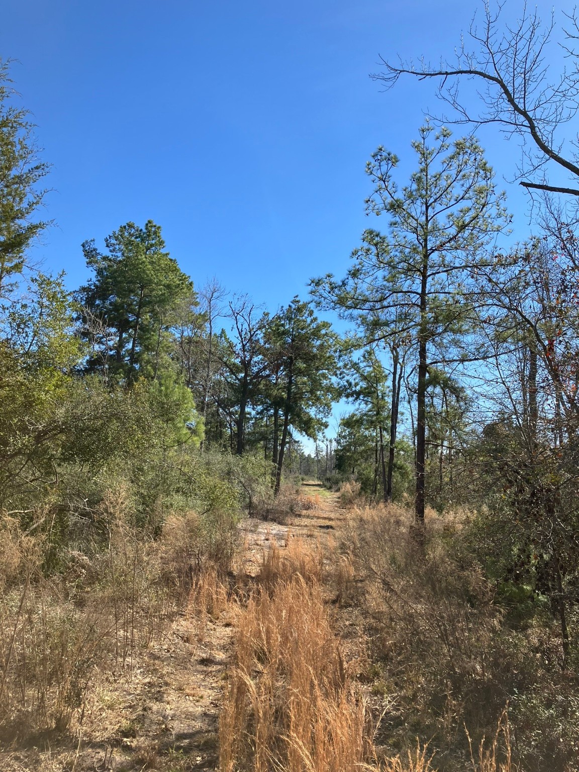 220 CR 2926 , Buffalo, TX, 75831 | 41658148 | Realty Texas LLC