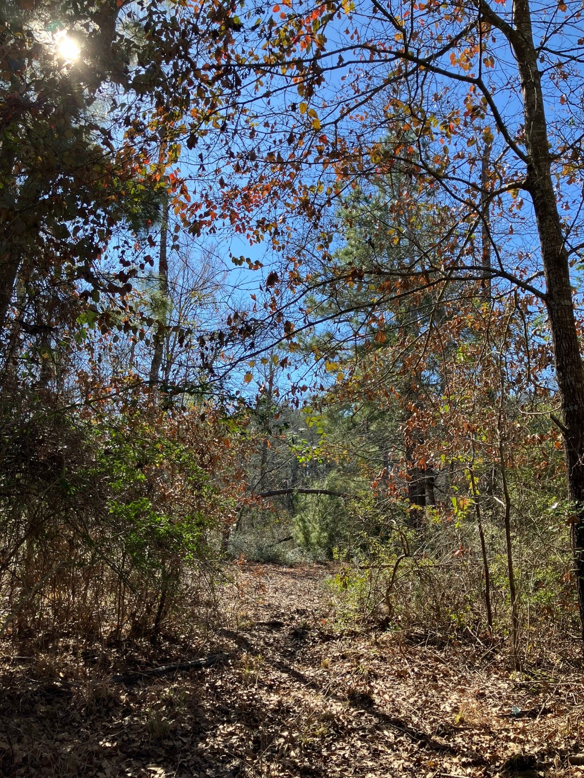 220 CR 2926 , Buffalo, TX, 75831 | 41658148 | Realty Texas LLC