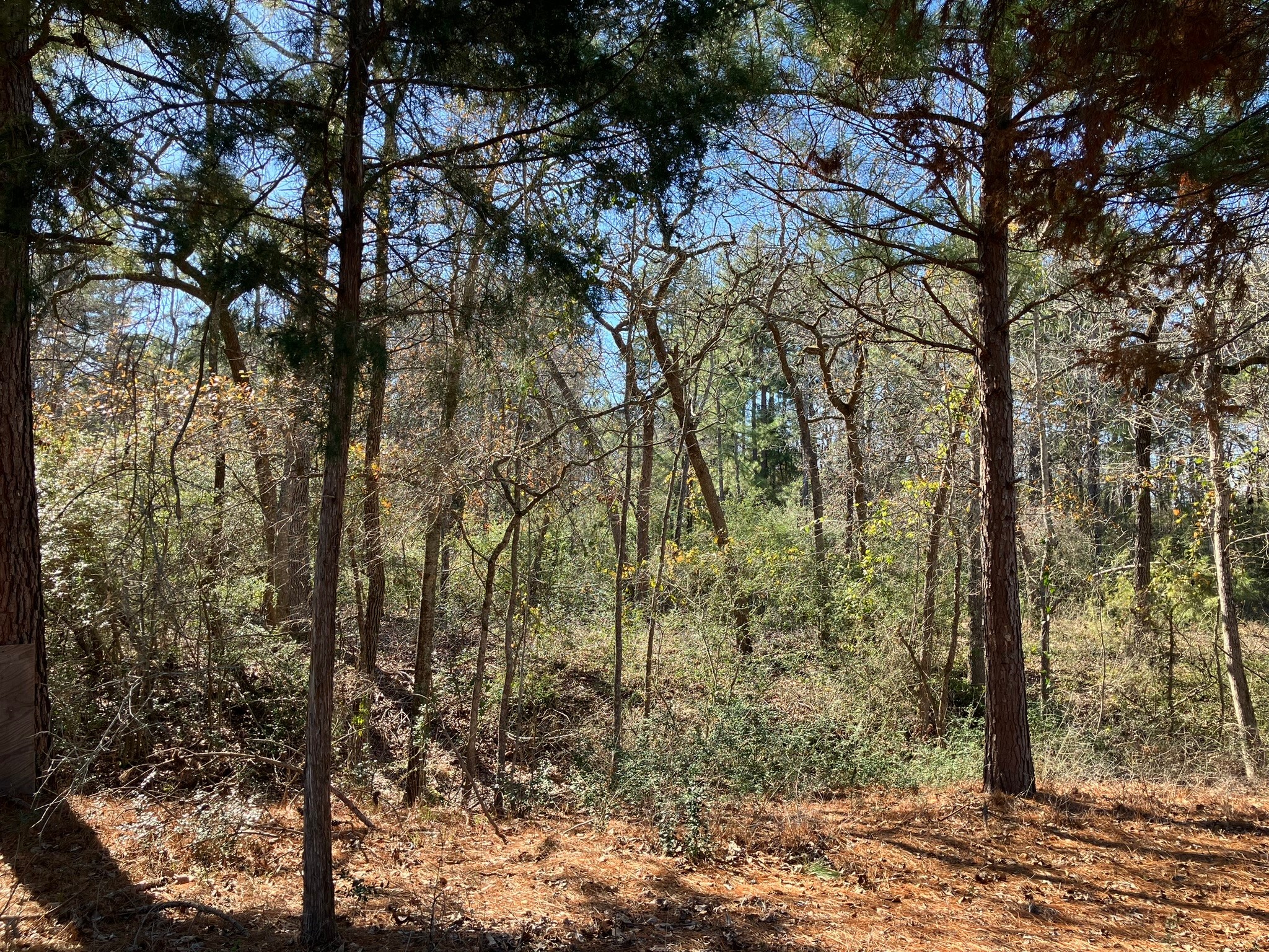 220 CR 2926 , Buffalo, TX, 75831 | 41658148 | Realty Texas LLC