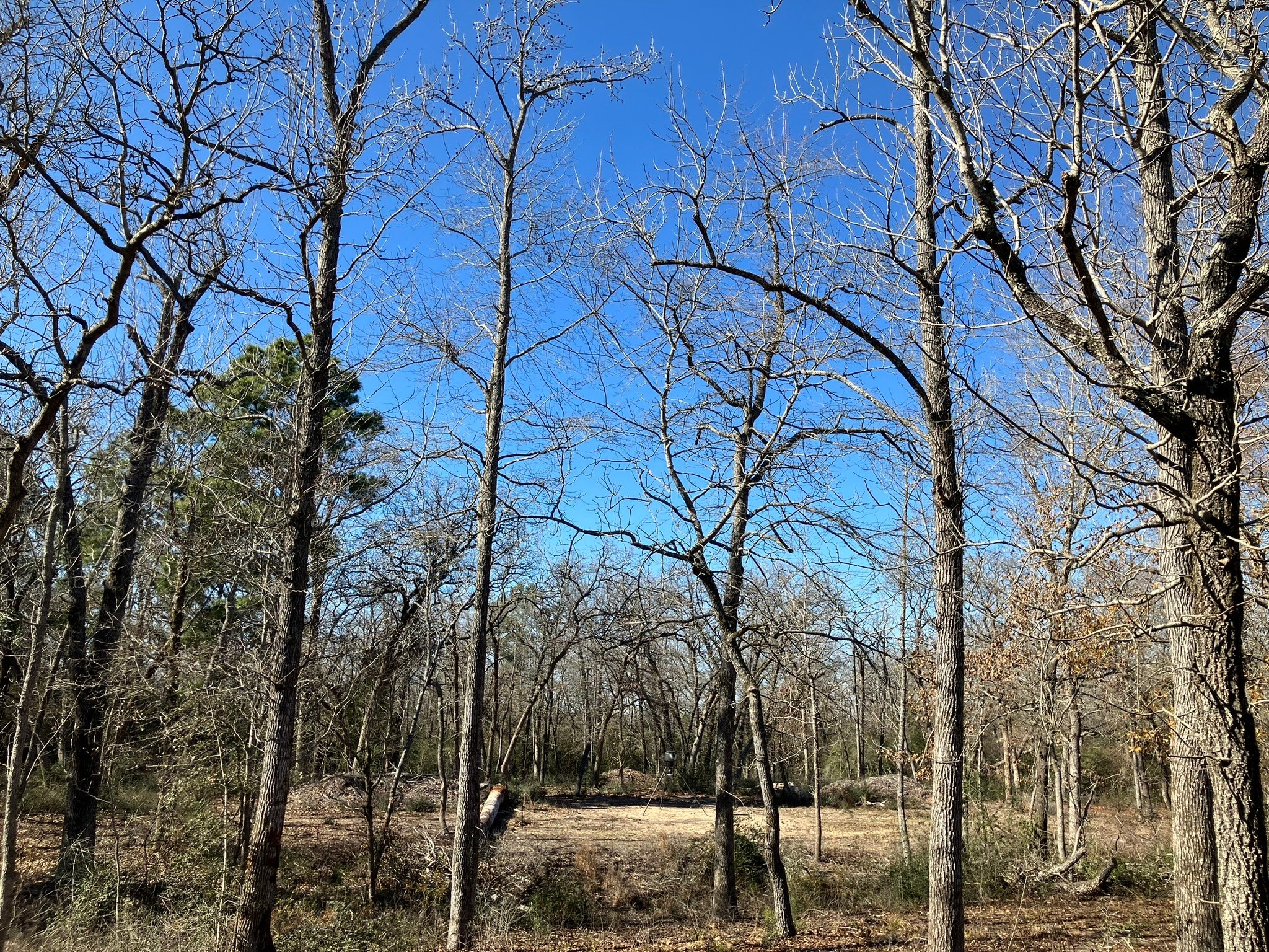 220 CR 2926 , Buffalo, TX, 75831 | 41658148 | Realty Texas LLC
