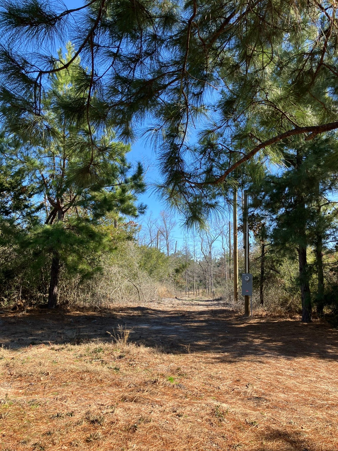 220 CR 2926 , Buffalo, TX, 75831 | 41658148 | Realty Texas LLC
