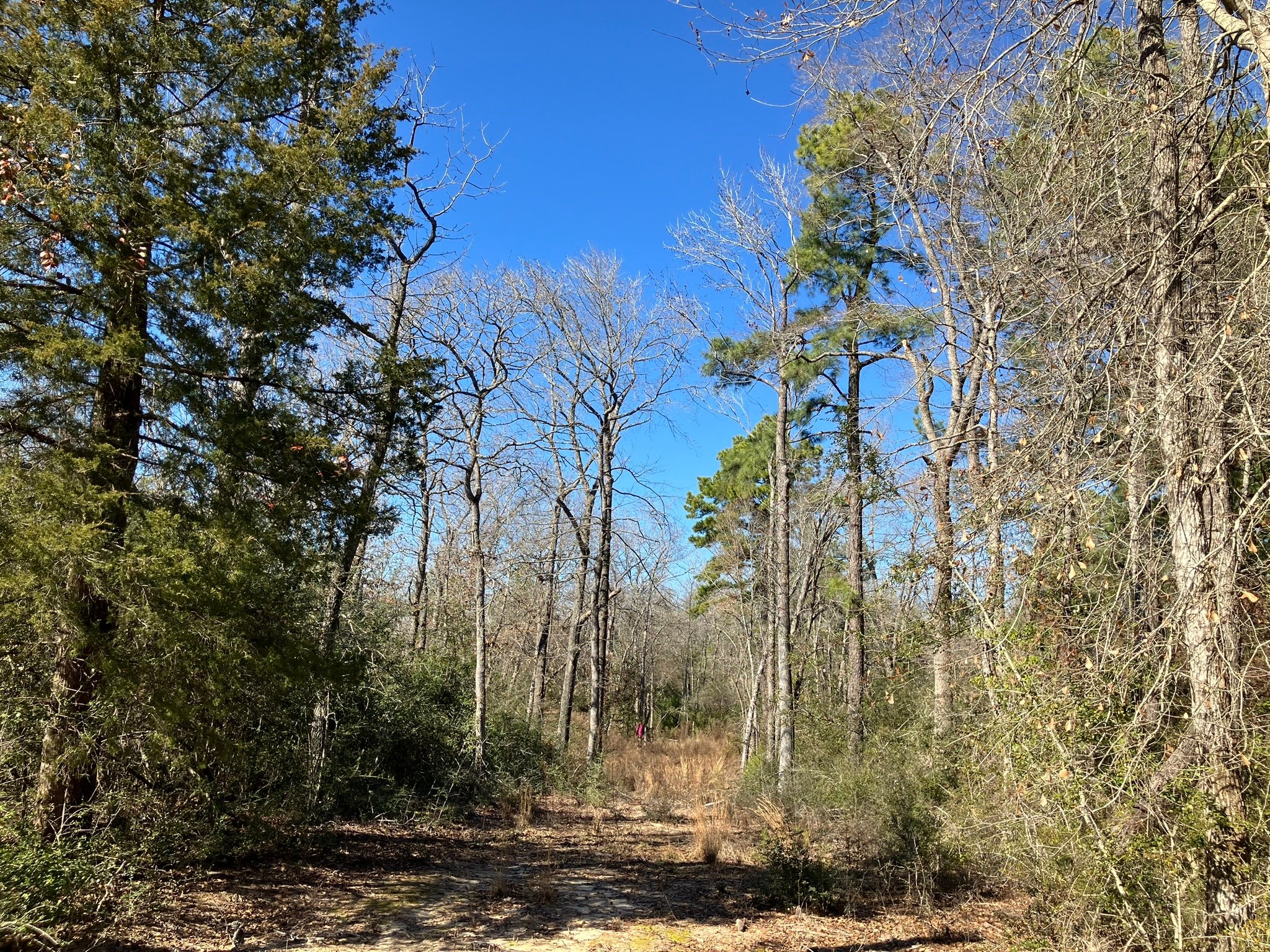 220 CR 2926 , Buffalo, TX, 75831 | 41658148 | Realty Texas LLC