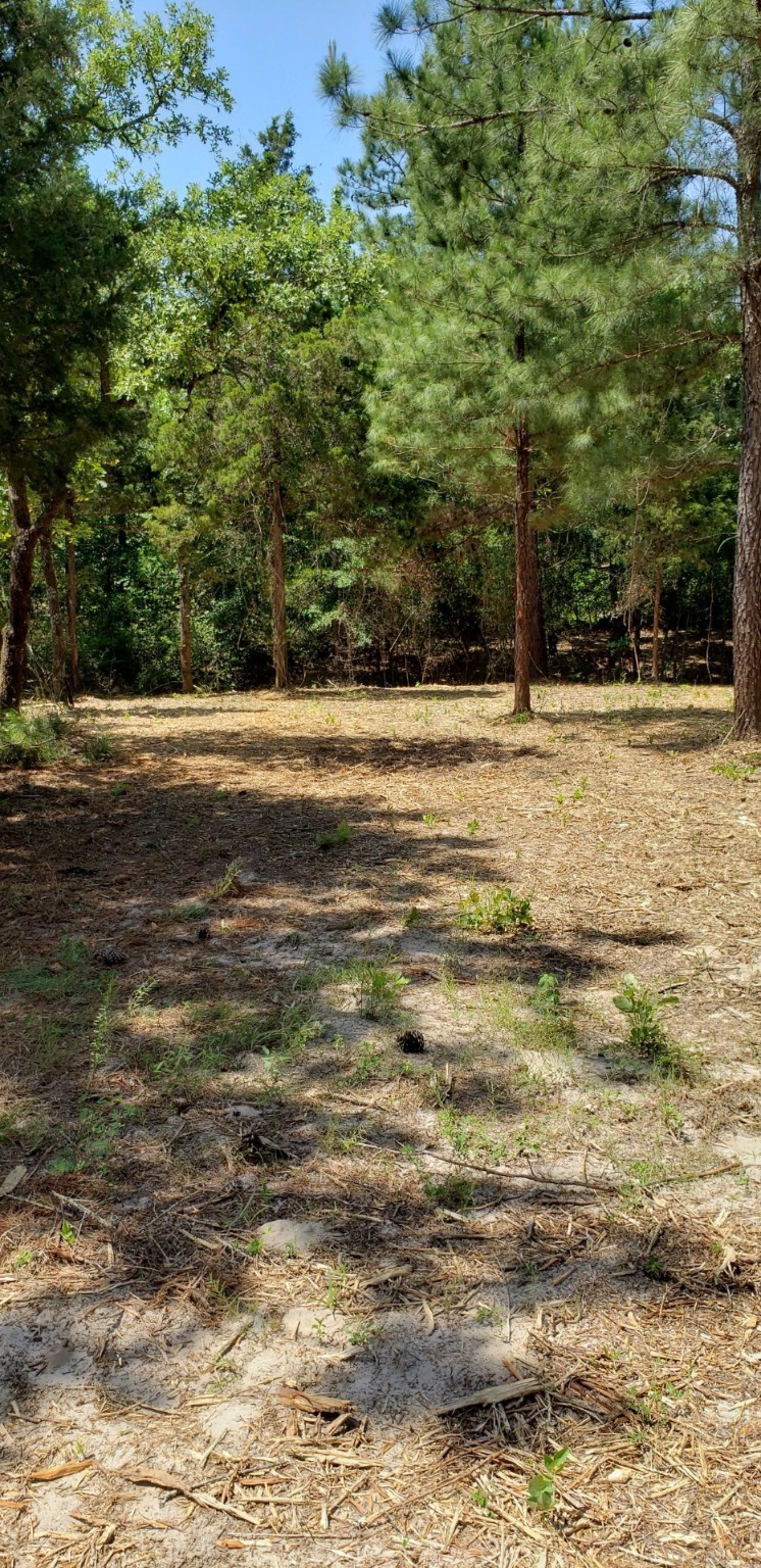 220 CR 2926 , Buffalo, TX, 75831 | 41658148 | Realty Texas LLC