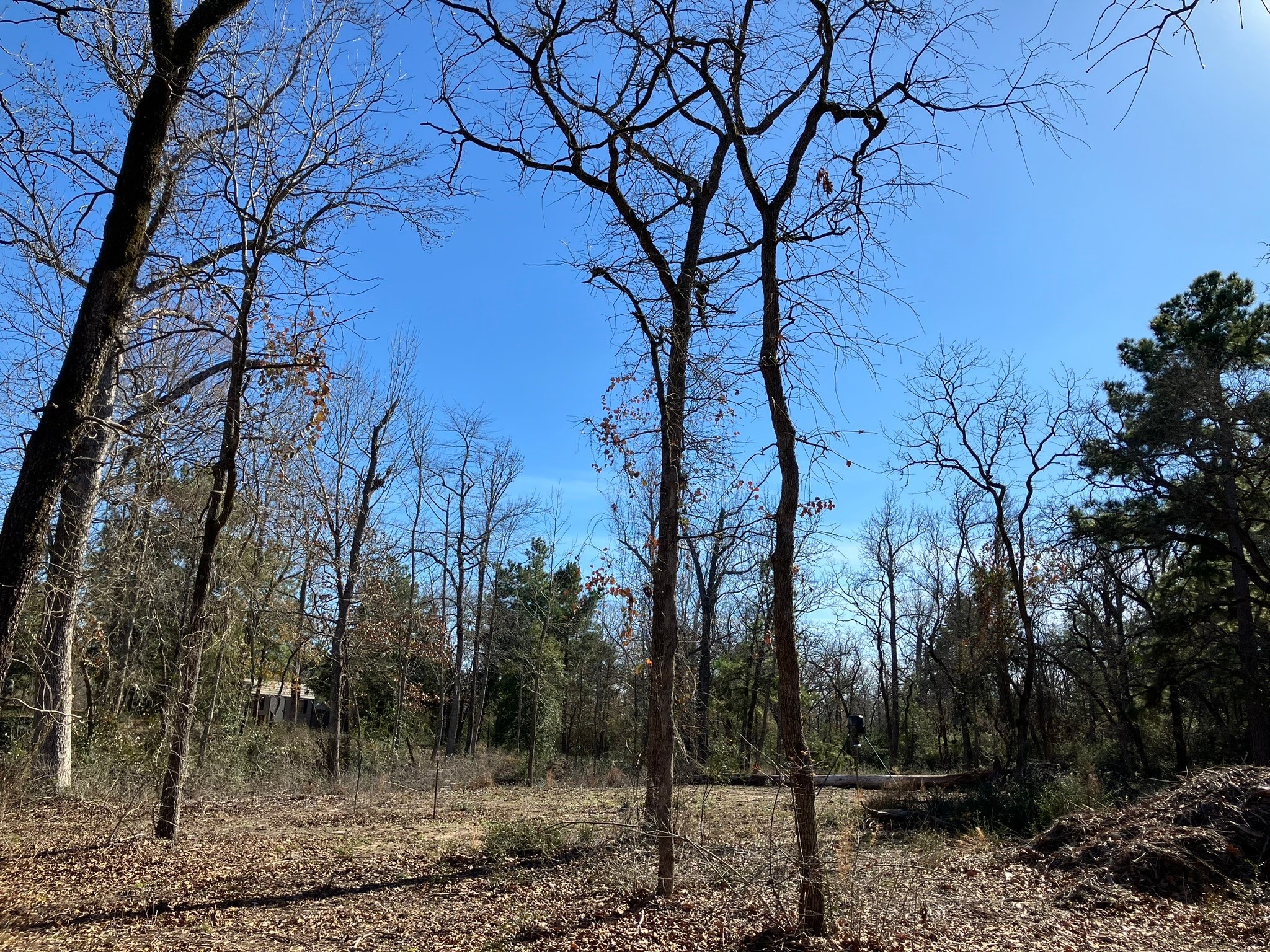 220 CR 2926 , Buffalo, TX, 75831 | 41658148 | Realty Texas LLC