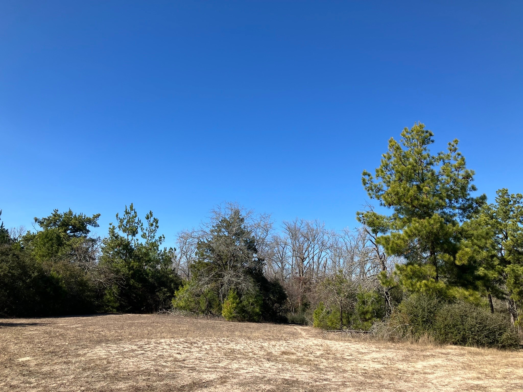 220 CR 2926 , Buffalo, TX, 75831 | 41658148 | Realty Texas LLC