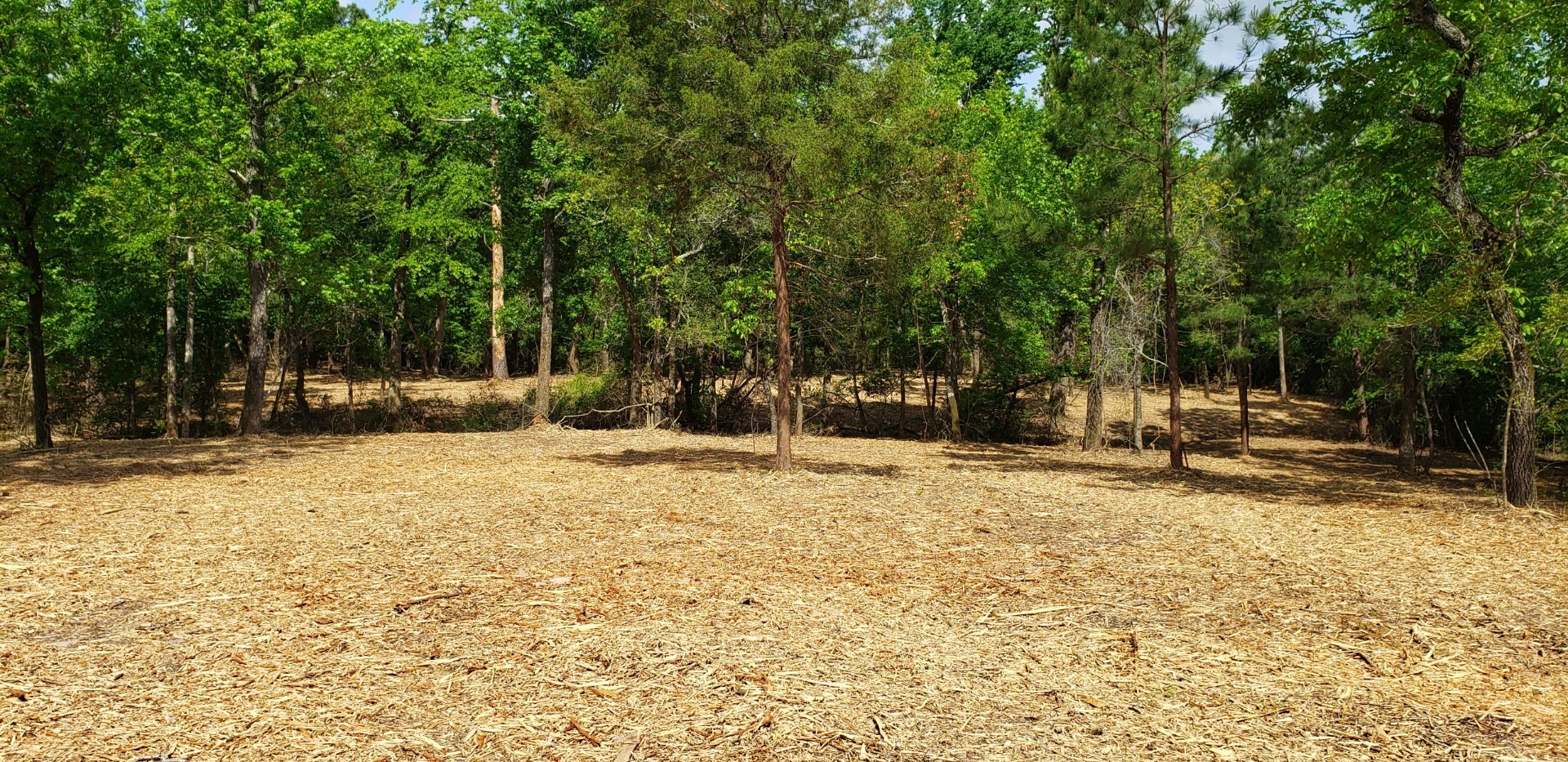 220 CR 2926 , Buffalo, TX, 75831 | 41658148 | Realty Texas LLC