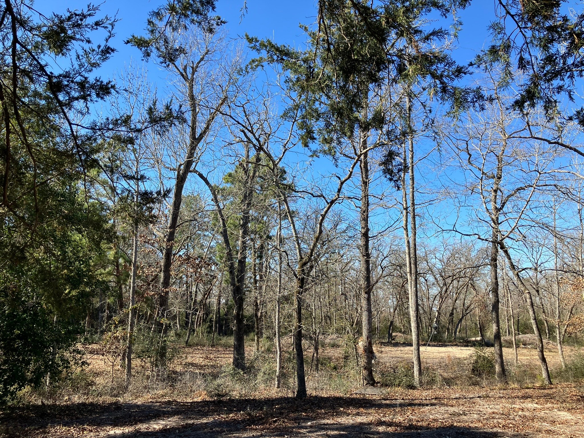 220 CR 2926 , Buffalo, TX, 75831 | 41658148 | Realty Texas LLC