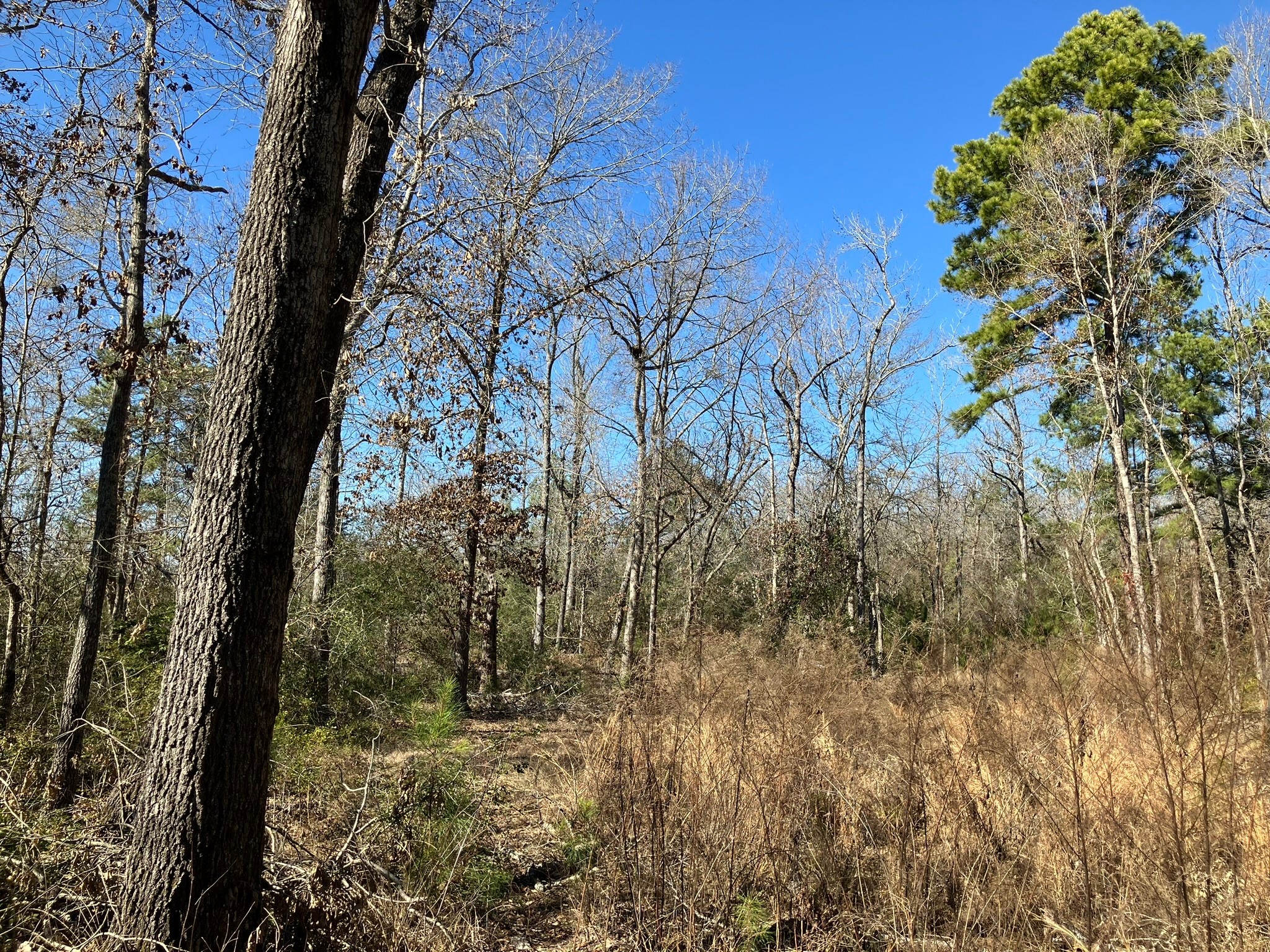 220 CR 2926 , Buffalo, TX, 75831 | 41658148 | Realty Texas LLC