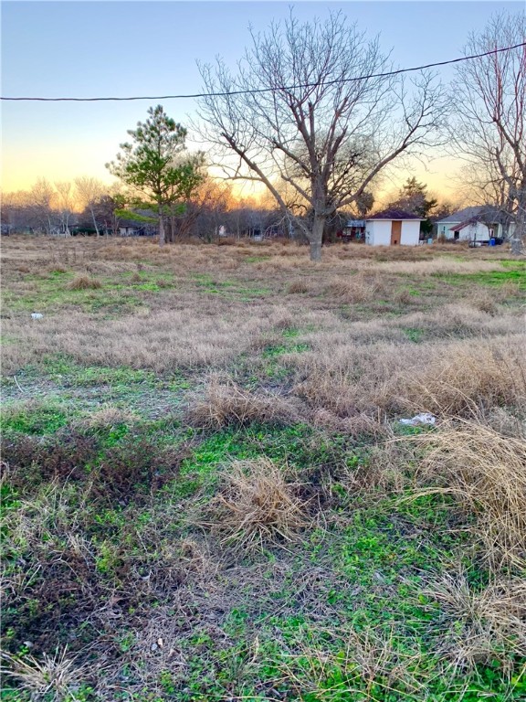 321 N 4th Street, Skidmore, TX, 78389 | 434777 | Realty Texas LLC