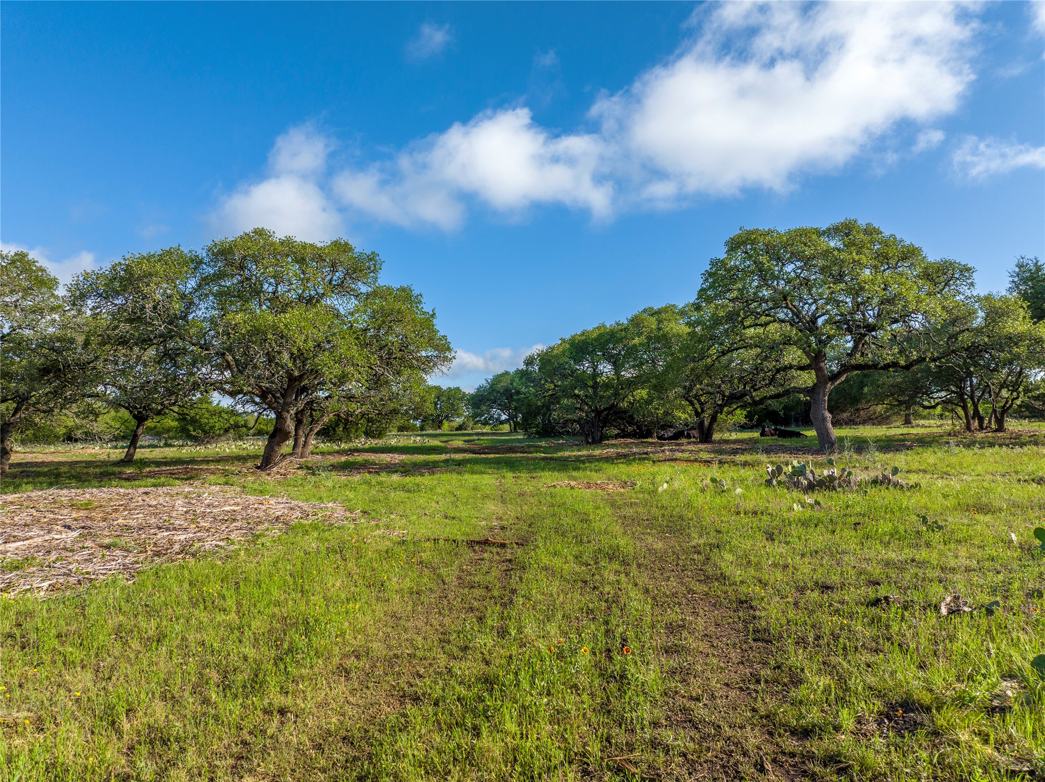 TBD CR108, Burnet, TX, 78611 | 7030218 | Realty Texas LLC