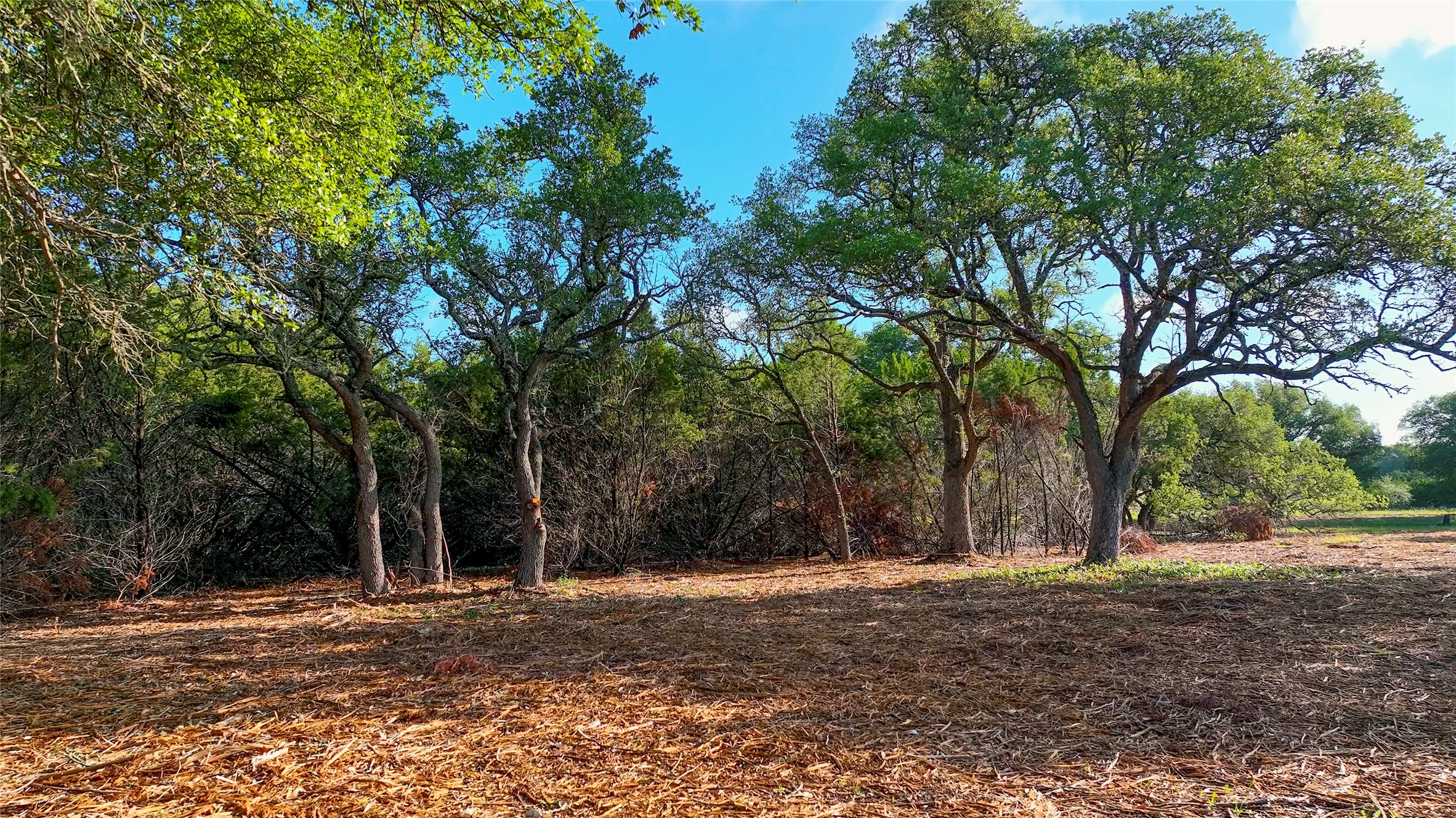 TBD CR108, Burnet, TX, 78611 | 7030218 | Realty Texas LLC