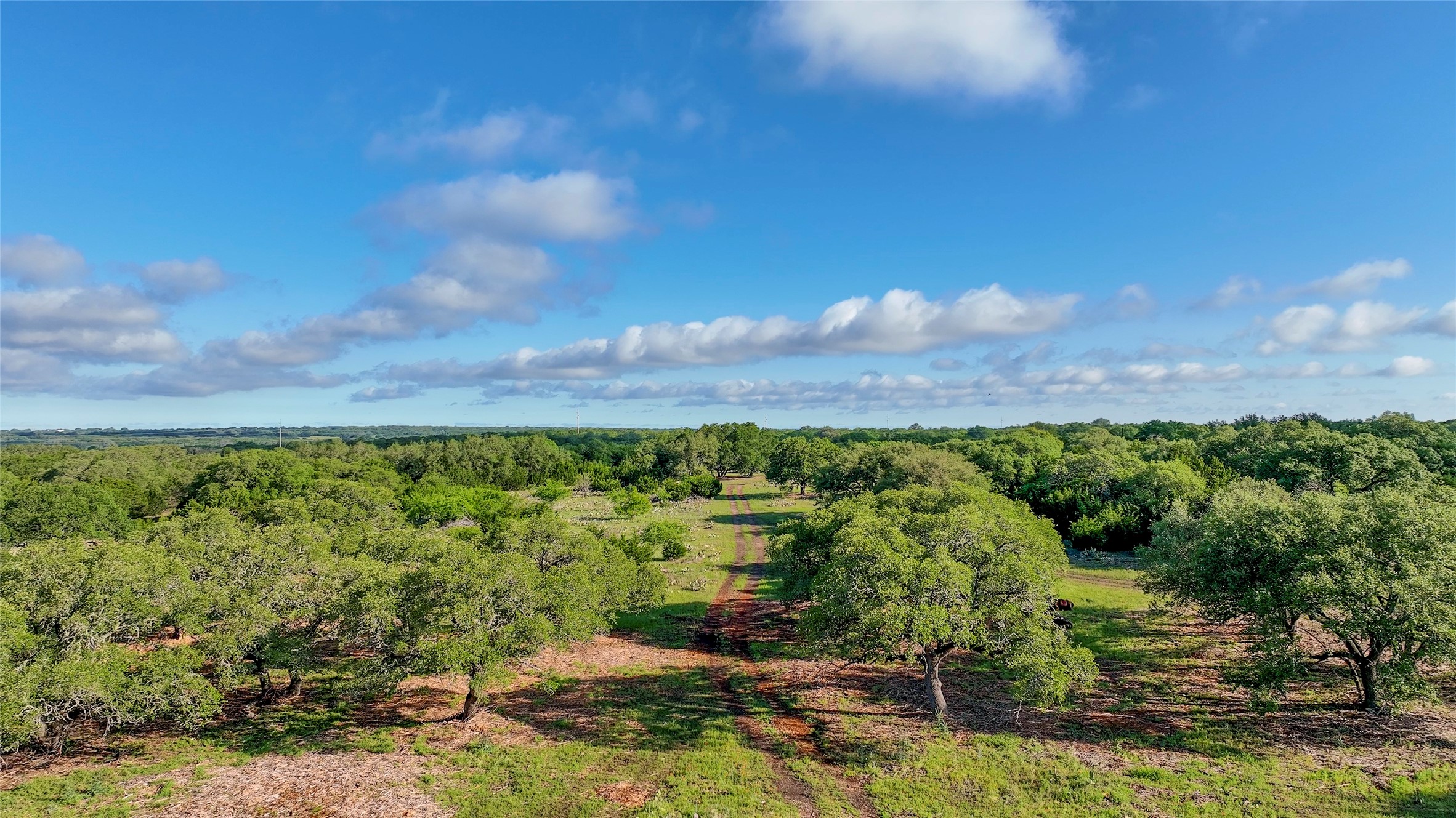 TBD CR108, Burnet, TX, 78611 | 7030218 | Realty Texas LLC