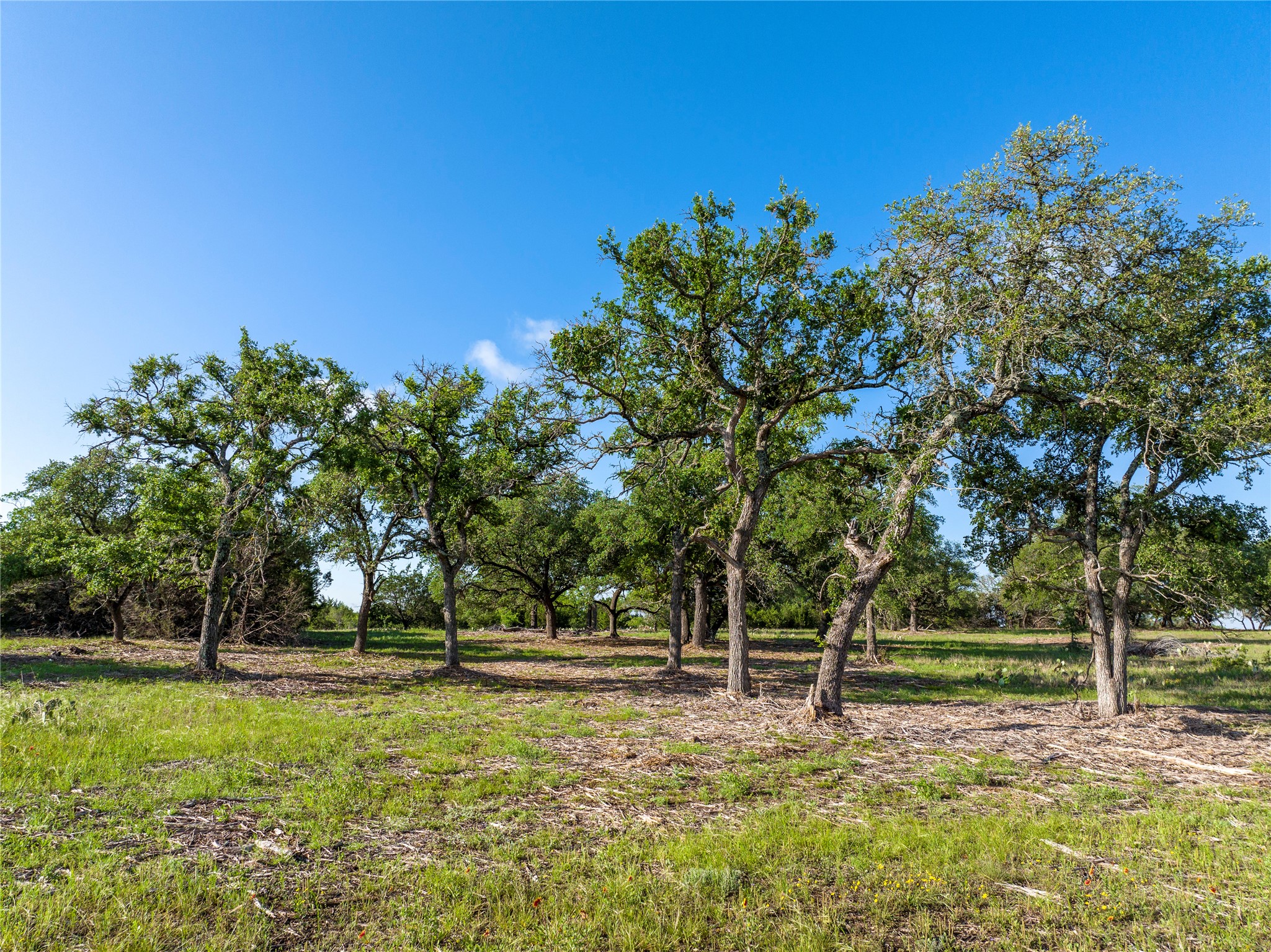TBD CR108, Burnet, TX, 78611 | 7030218 | Realty Texas LLC