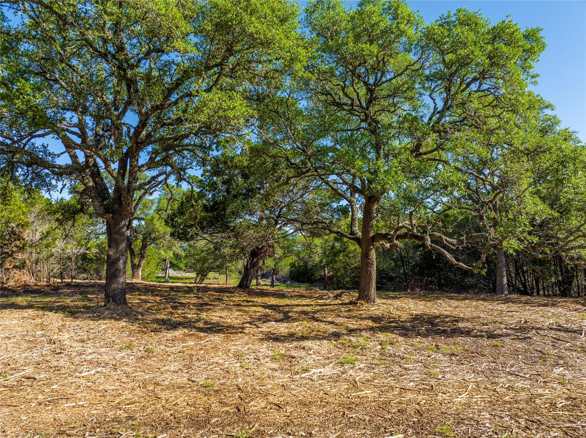 TBD CR108, Burnet, TX, 78611 | 7030218 | Realty Texas LLC